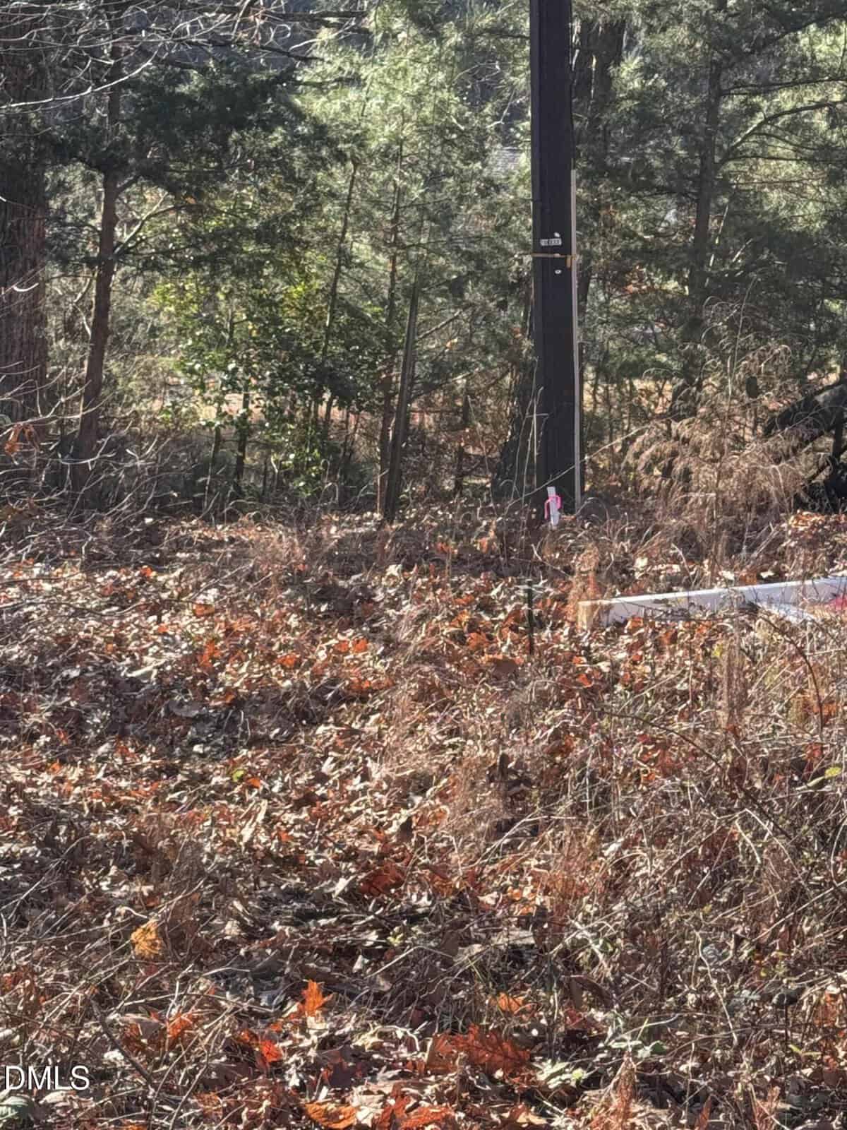 A utility pole stands among dry grass, fallen leaves, and scattered brush in a wooded area with several green trees in the background. A small pink marker is visible near the base of the pole.