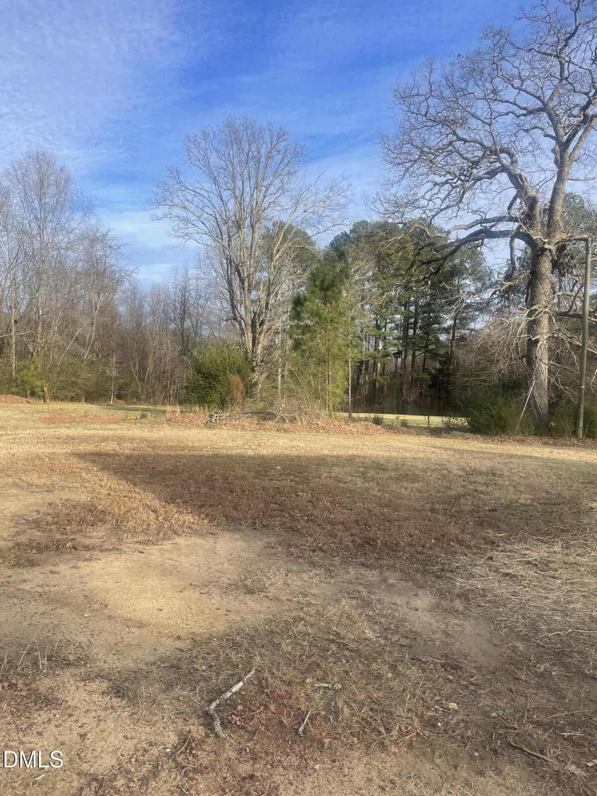 A mostly bare patch of ground with sparse, dry grass in the foreground, leafless trees and some evergreens in the background, and a clear blue sky above. The area appears to be part of a rural landscape.