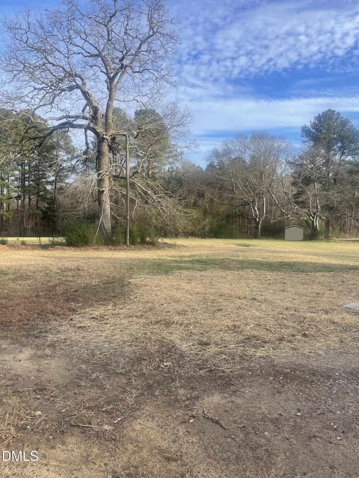 A mostly bare yard with patches of grass, a few large leafless trees, some green shrubs along the back, a small shed to the right, and a partly cloudy sky overhead.
