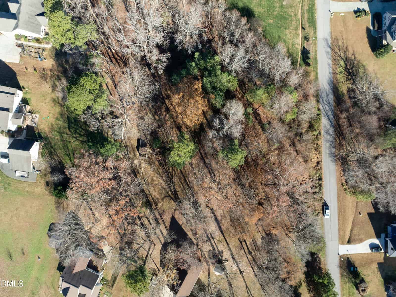 Aerial view of a suburban neighborhood with houses, a road, and a wooded area with trees casting long shadows on the ground. Some trees have lost their leaves, indicating a fall or winter season.