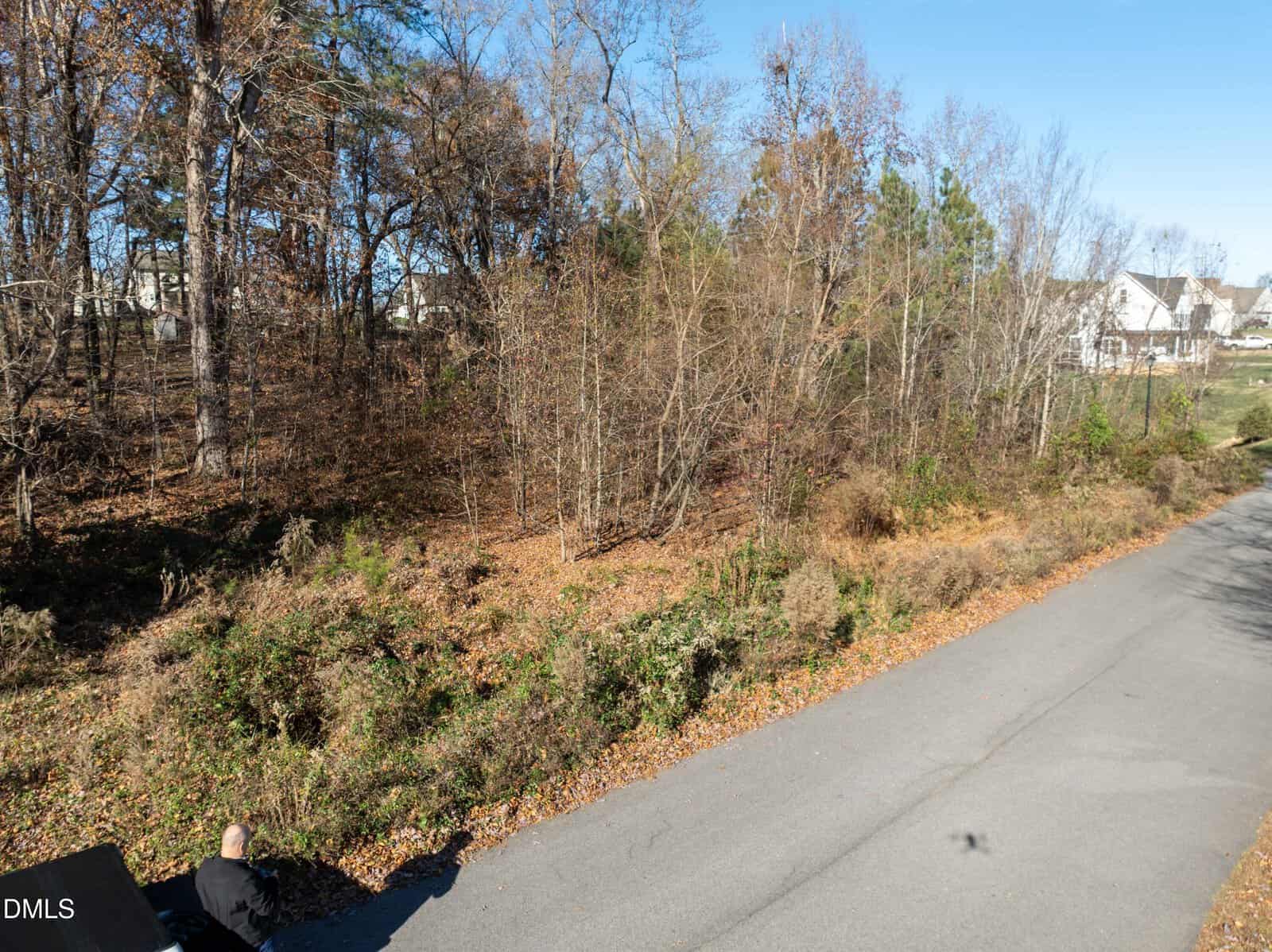 A paved road runs alongside a wooded area with leafless trees and dense undergrowth. Houses are visible in the background. A person stands near the lower left corner of the image.