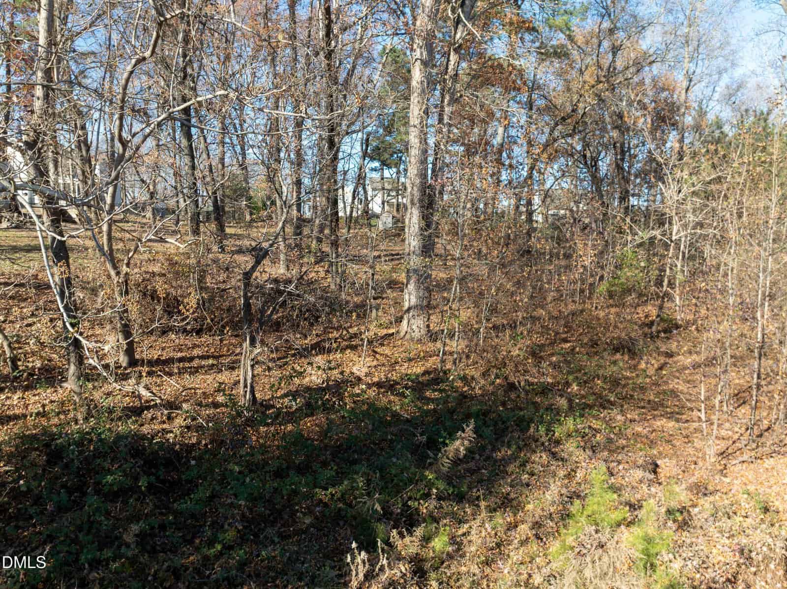 A wooded area with leafless trees and scattered brown leaves covering the ground. Some greenery is visible near the bottom, and buildings can be seen in the background through the trees.