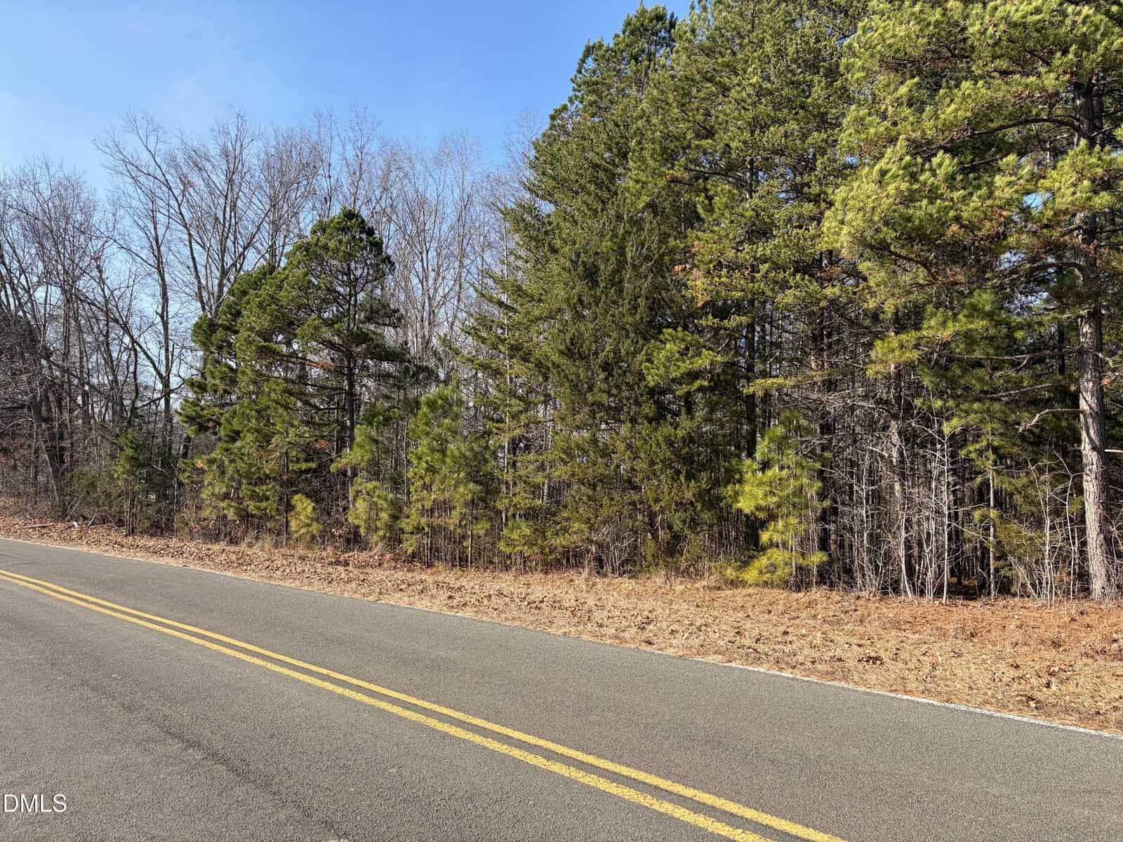 A paved road with double yellow lines, known as 00 Webb Chapel Road, runs alongside a forested area near Oxford, where pine and leafless trees stand under a clear blue sky and dry leaves cover the ground near the edge of the woods.