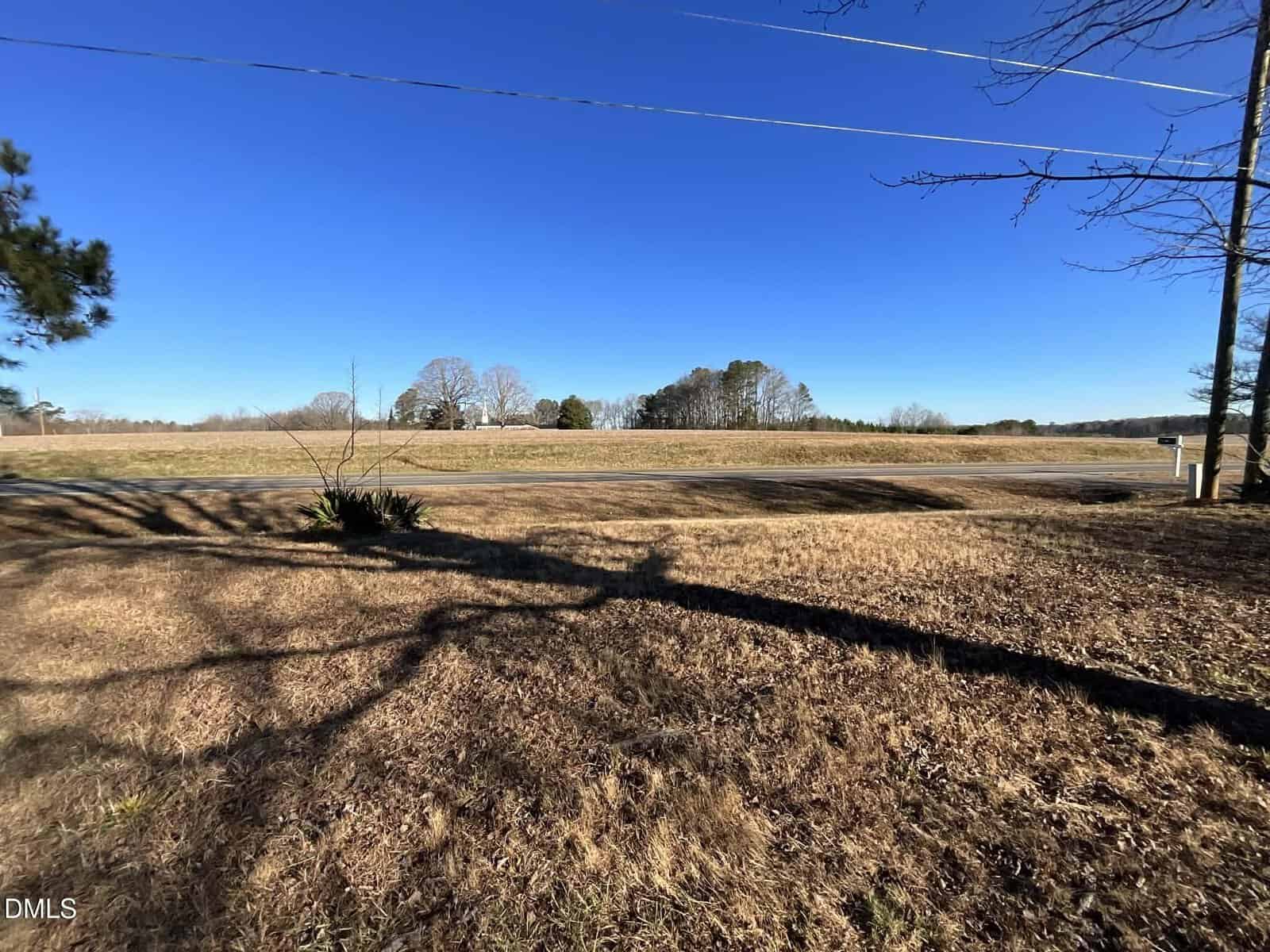 A rural two-lane road runs past an open, grassy field bordered by trees under a clear blue sky. Shadows from bare tree branches stretch across the dry grass in the foreground.