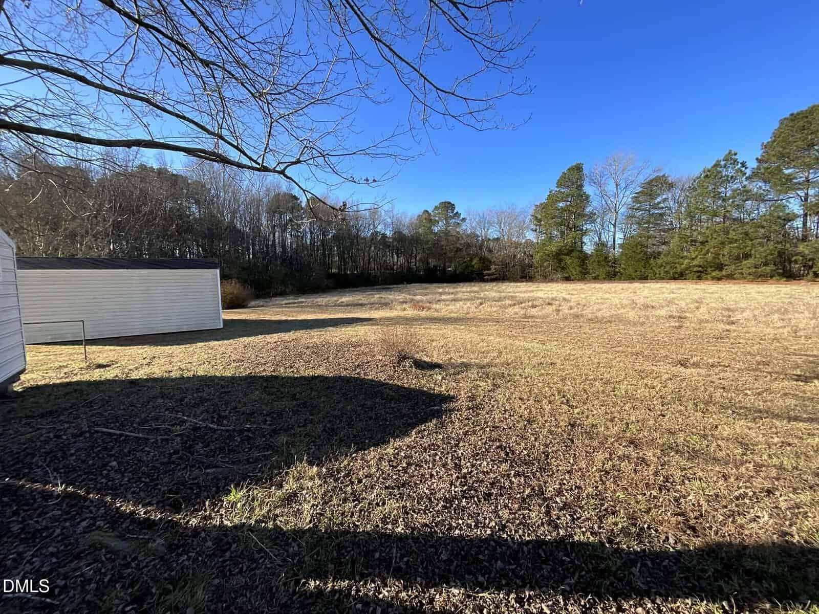 A grassy open field bordered by trees under a clear blue sky, with part of a white building and its shadow visible on the left side of the image.