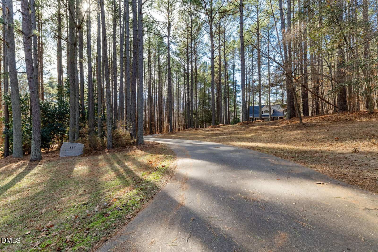 A paved driveway curves through a wooded area with tall pine trees. Sunlight filters through the trees, casting long shadows. A house is partially visible in the background on the right side.