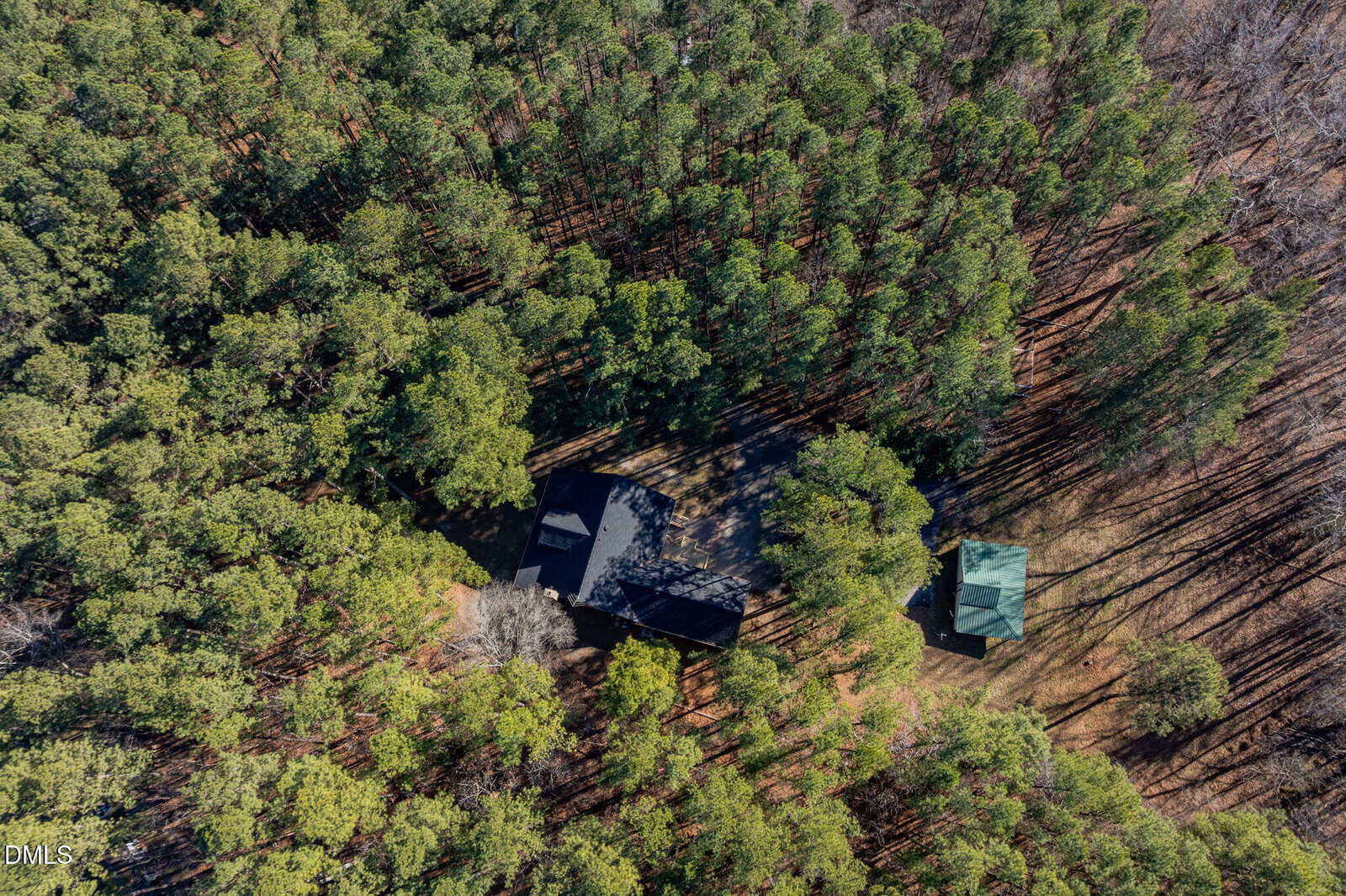 Aerial view of a house and a smaller outbuilding surrounded by dense pine trees; long tree shadows stretch across the ground in a forested area.