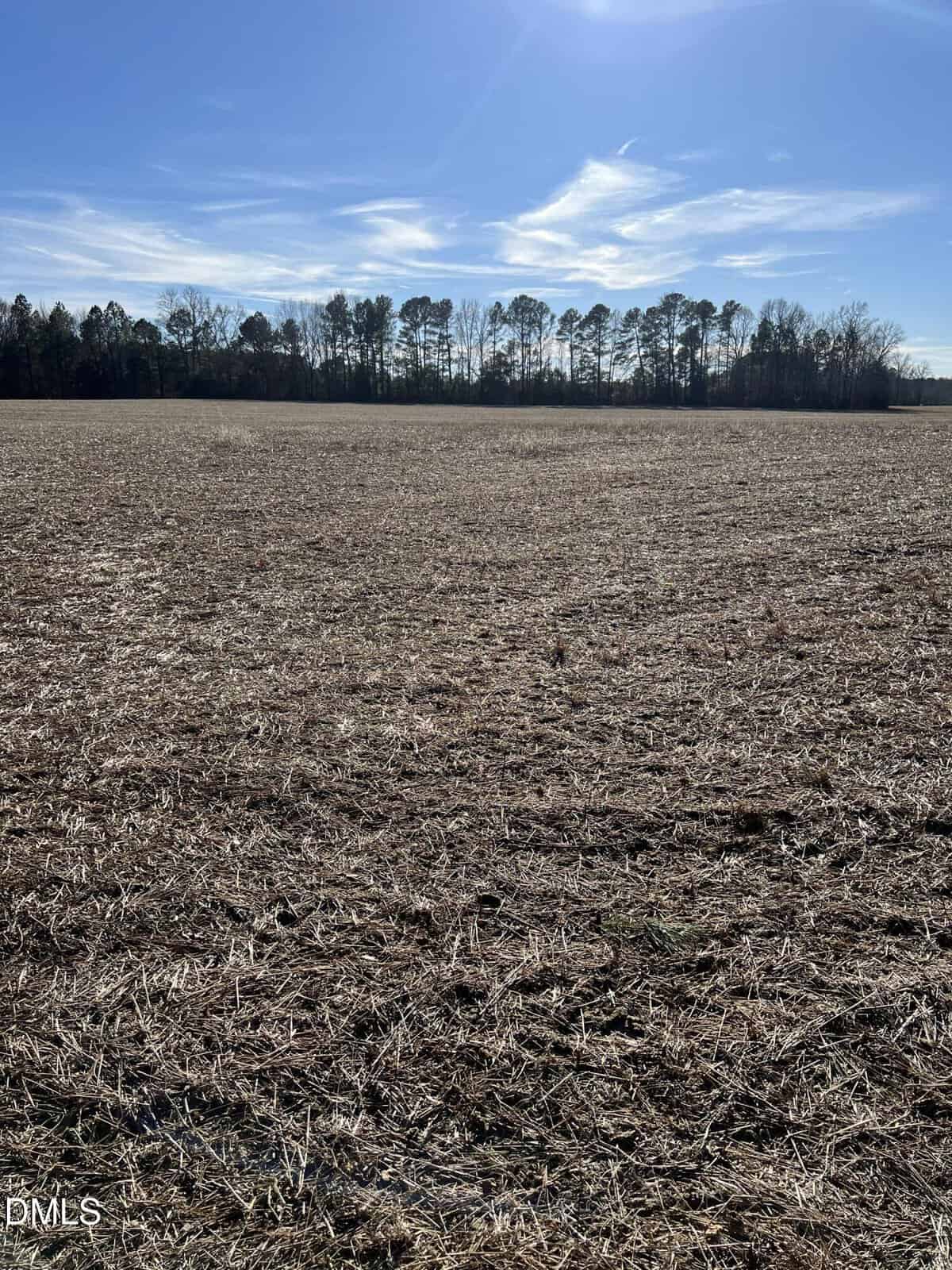 A dry, brown field stretches under a blue sky with wispy clouds. Leafless trees line the horizon in the background, and sunlight casts light shadows across the open landscape.