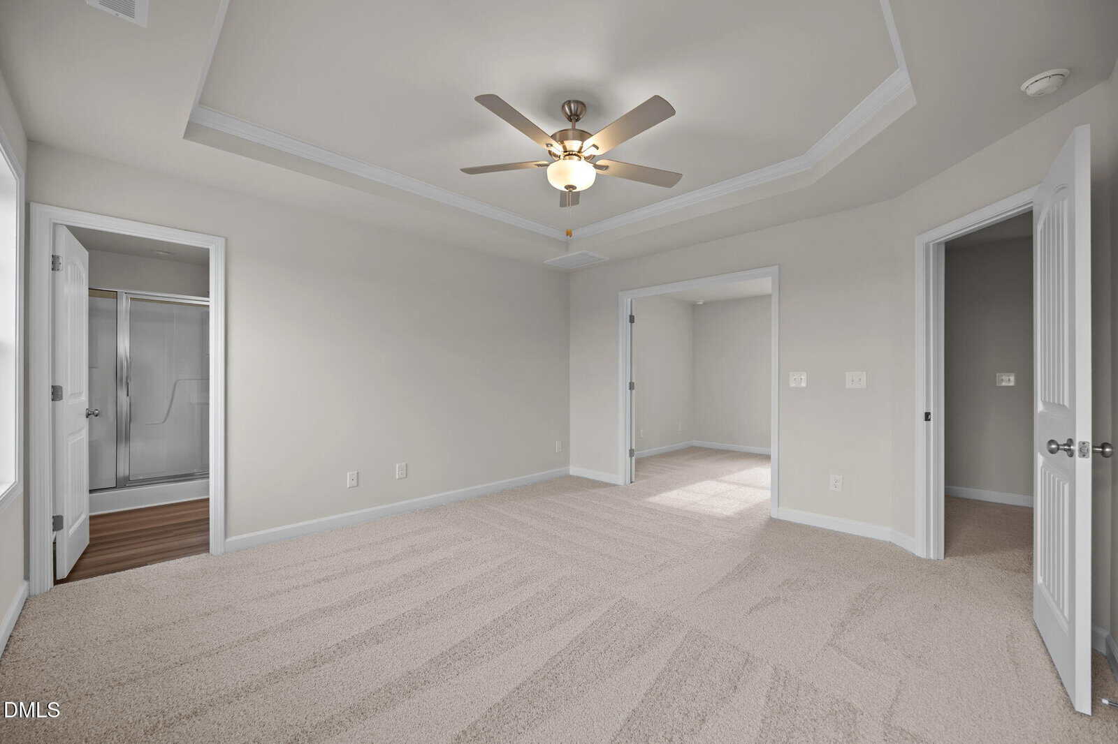 Spacious empty bedroom with light beige carpet, tray ceiling, ceiling fan, and three doorways leading to a bathroom, closet, and another room. Walls are painted light gray, and the room is well-lit.