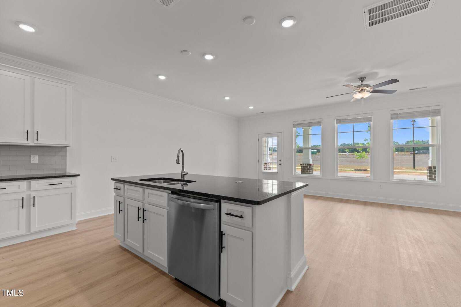 Modern open-concept kitchen with white cabinets, black countertop island, stainless steel appliances, and light wood flooring. Adjacent living area has large windows and a ceiling fan, letting in natural light.