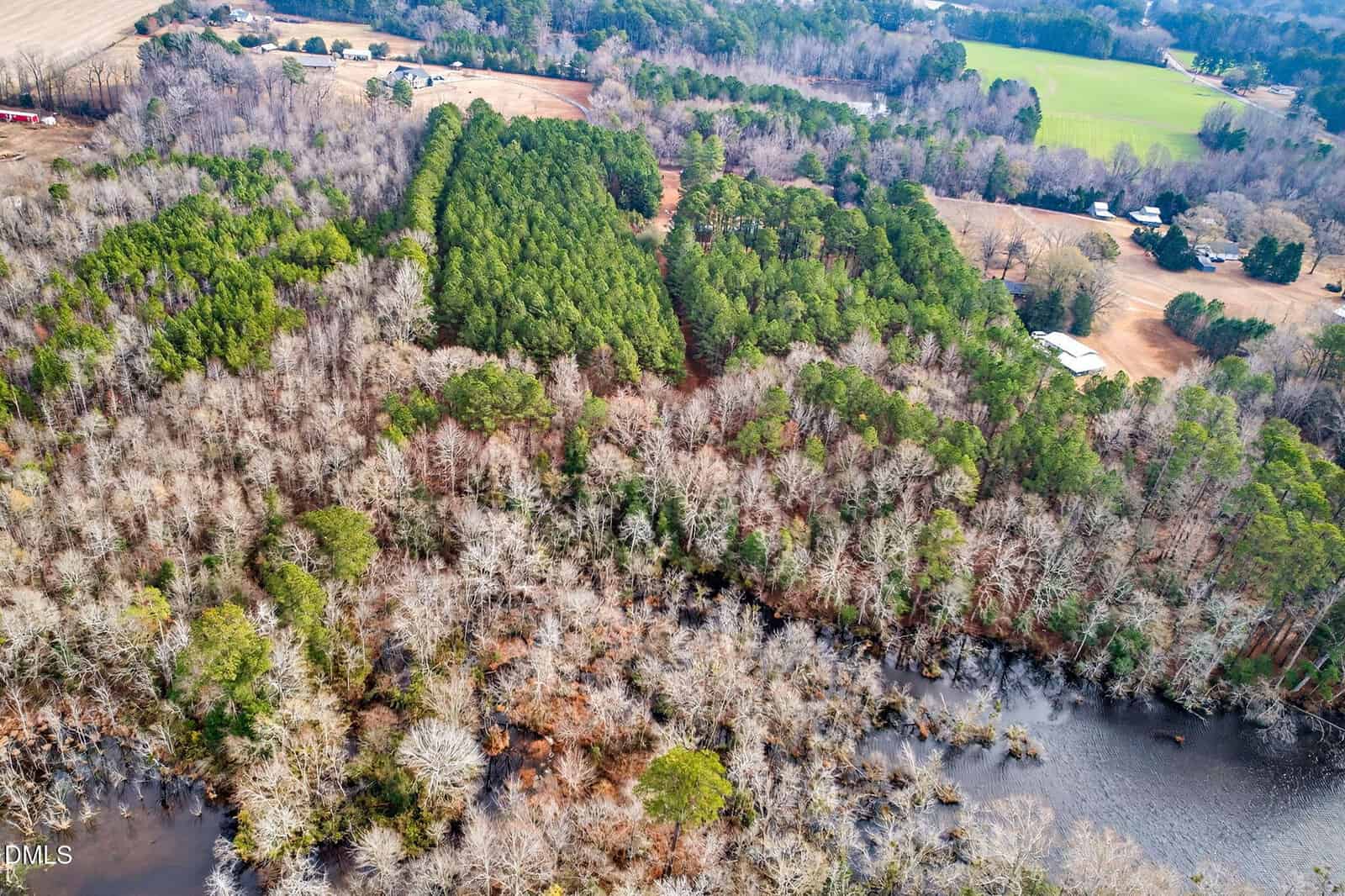 Aerial view of a wooded landscape with a mix of leafless and evergreen trees, a body of water in the foreground, open fields, scattered buildings, and roads in the background.