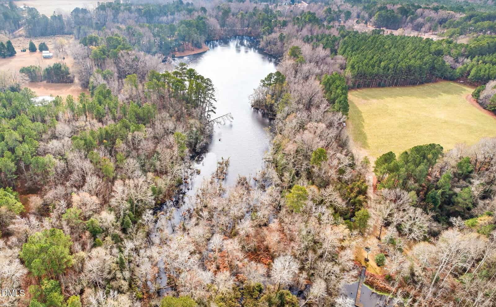 Aerial view of a narrow lake surrounded by trees, some green and some leafless, with a grassy field on the right and forested areas surrounding the water. The landscape appears to be in a rural setting.