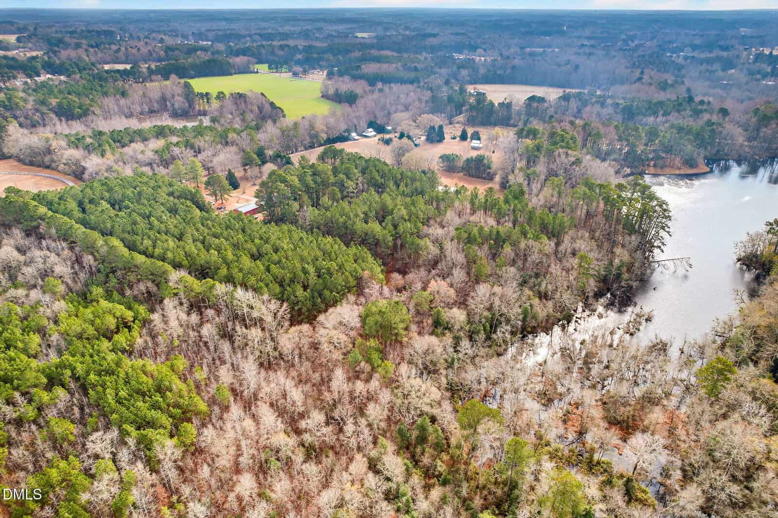 Aerial view of a rural landscape with dense green and brown trees, open fields, scattered houses, and a lake with marshy edges under a cloudy sky.