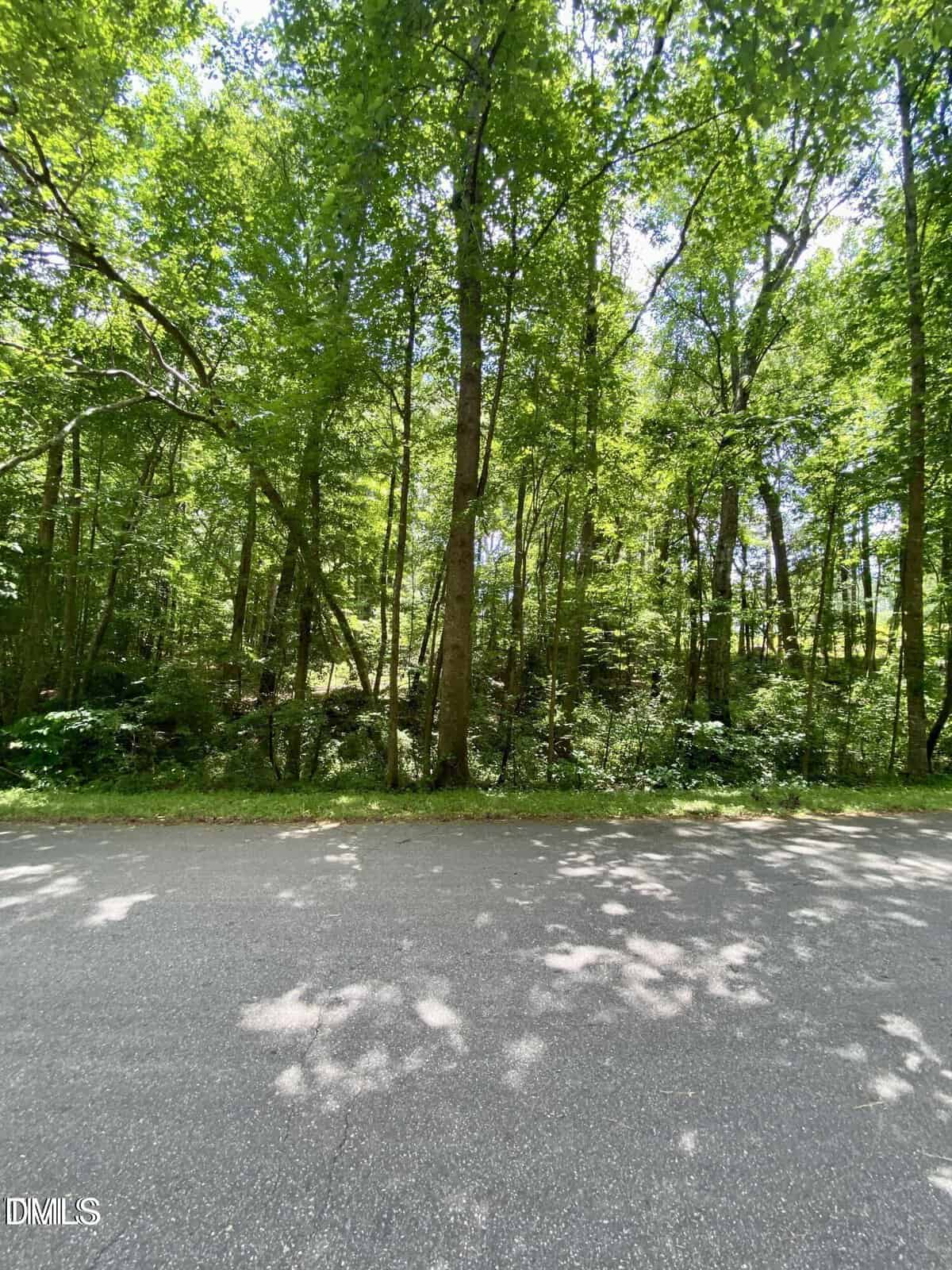 A road with trees in the background.