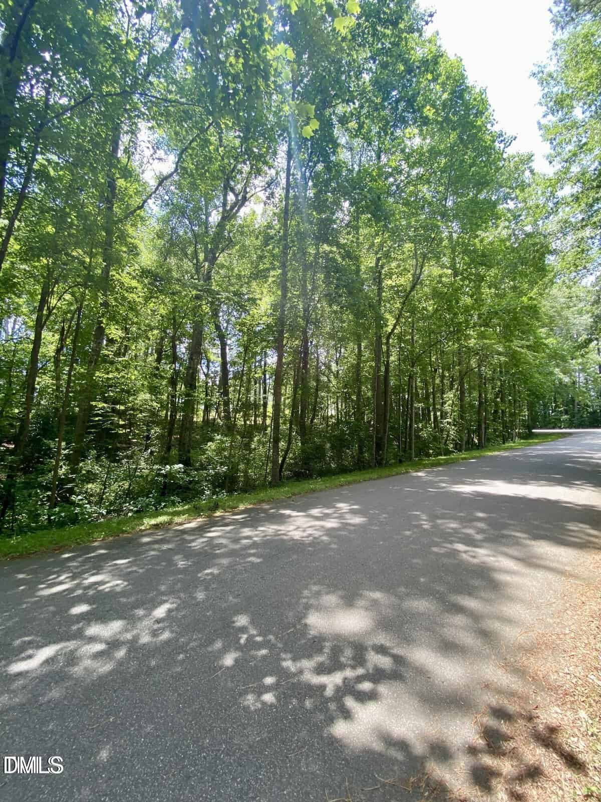 A paved road runs alongside a dense forest with tall green trees. Sunlight filters through the leaves, casting shadows on the road. The sky above is clear and bright.