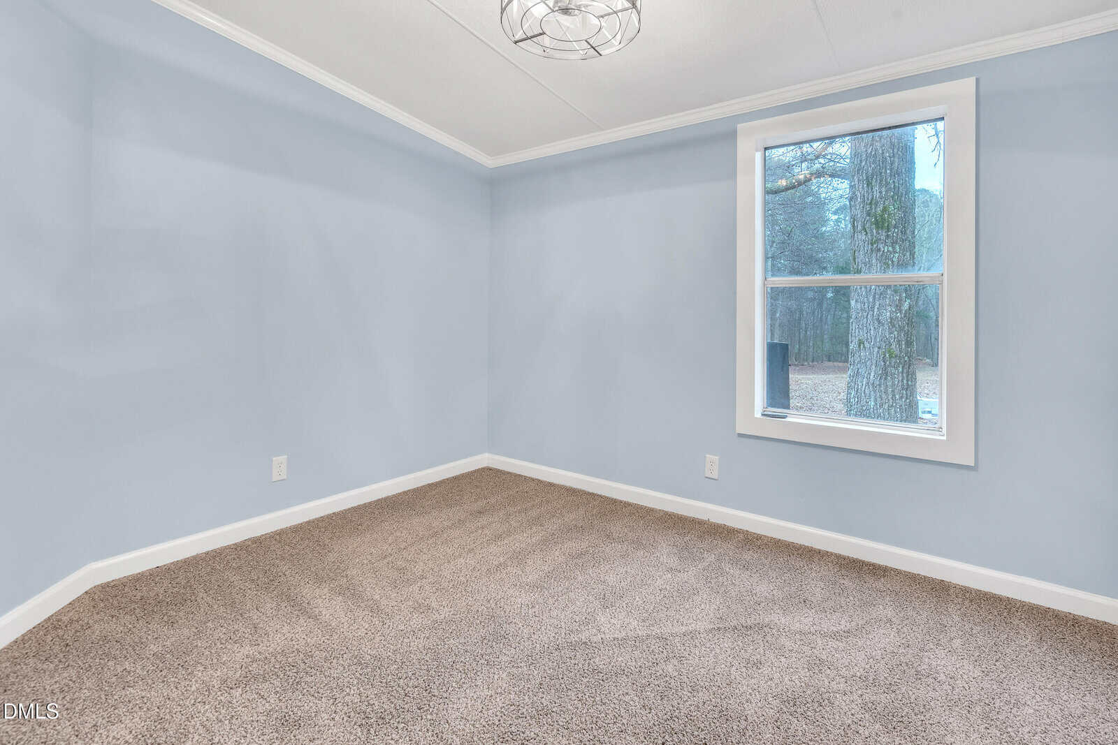 An empty room with light blue walls, beige carpet, white trim, a single window showing a tree outside, two electrical outlets, and a ceiling light fixture.