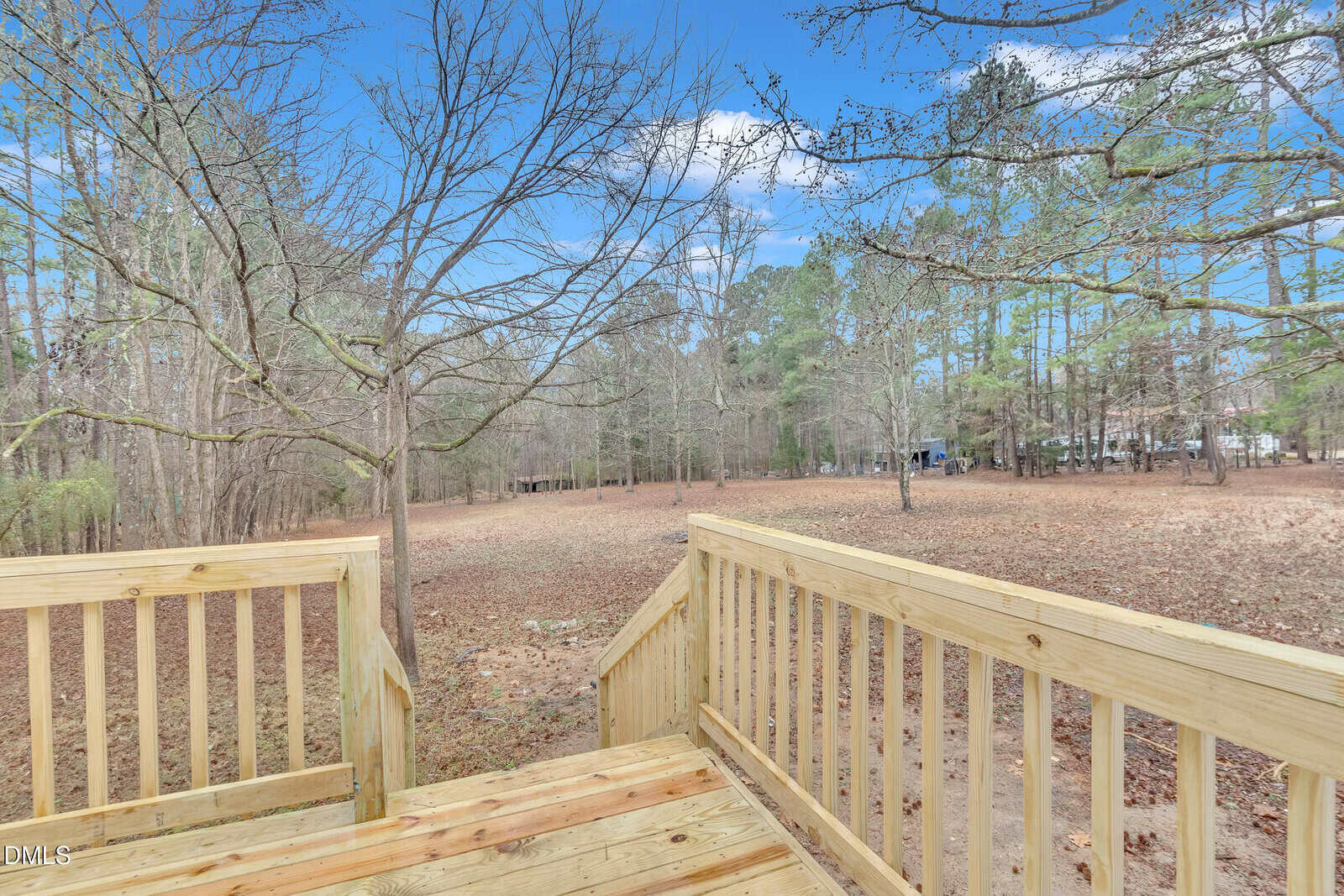 View from a wooden deck looking out onto a spacious, leaf-covered yard with bare trees and a backdrop of tall pines under a blue sky with clouds.