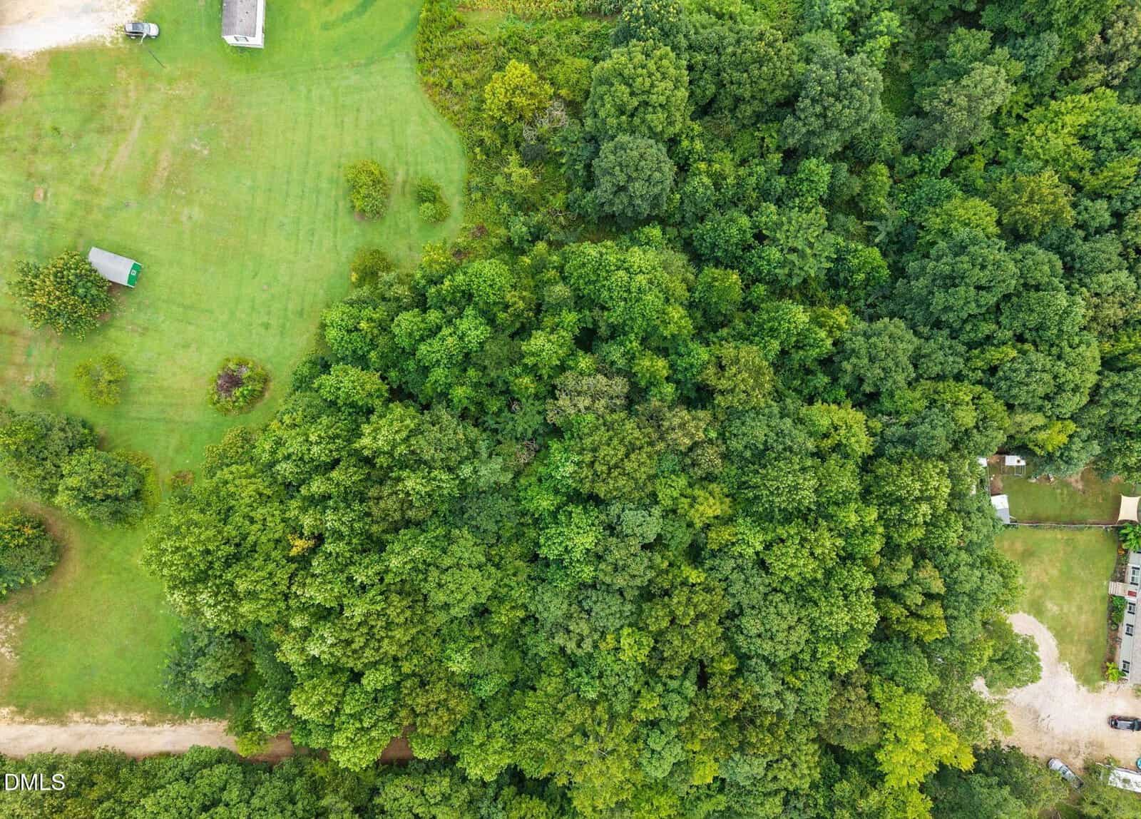Aerial view of a dense green forest near Franklinton, bordered by grassy open fields and a few scattered small buildings. A dirt road, 0 W River Road, runs along the bottom edge of the image.