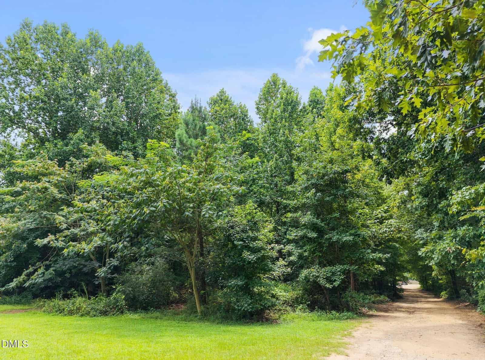 A dirt path runs alongside a lush, green wooded area with tall trees under a clear blue sky. The grass in the foreground is vibrant and well-maintained.