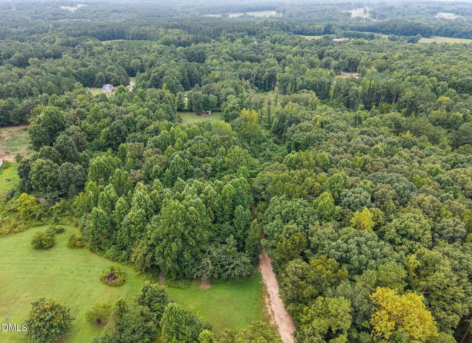 Aerial view of a dense, green forest with a dirt road winding through it, surrounded by scattered clearings and a few houses nestled among the trees. The landscape extends into the distant horizon.
