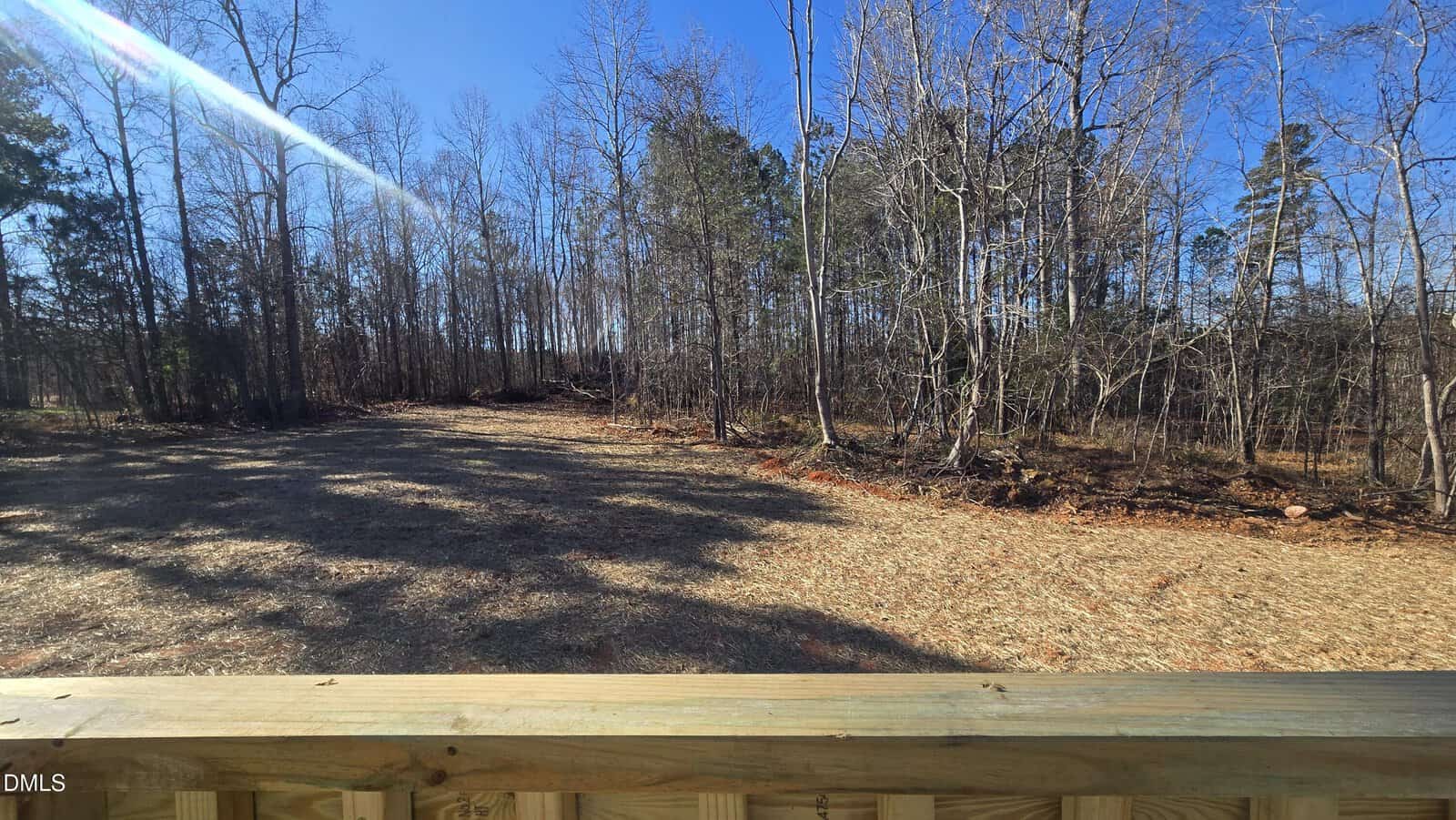 A cleared, open area bordered by leafless trees under a clear blue sky, viewed from behind a wooden railing in the foreground. Sunlight creates a bright streak across the upper left portion of the image.