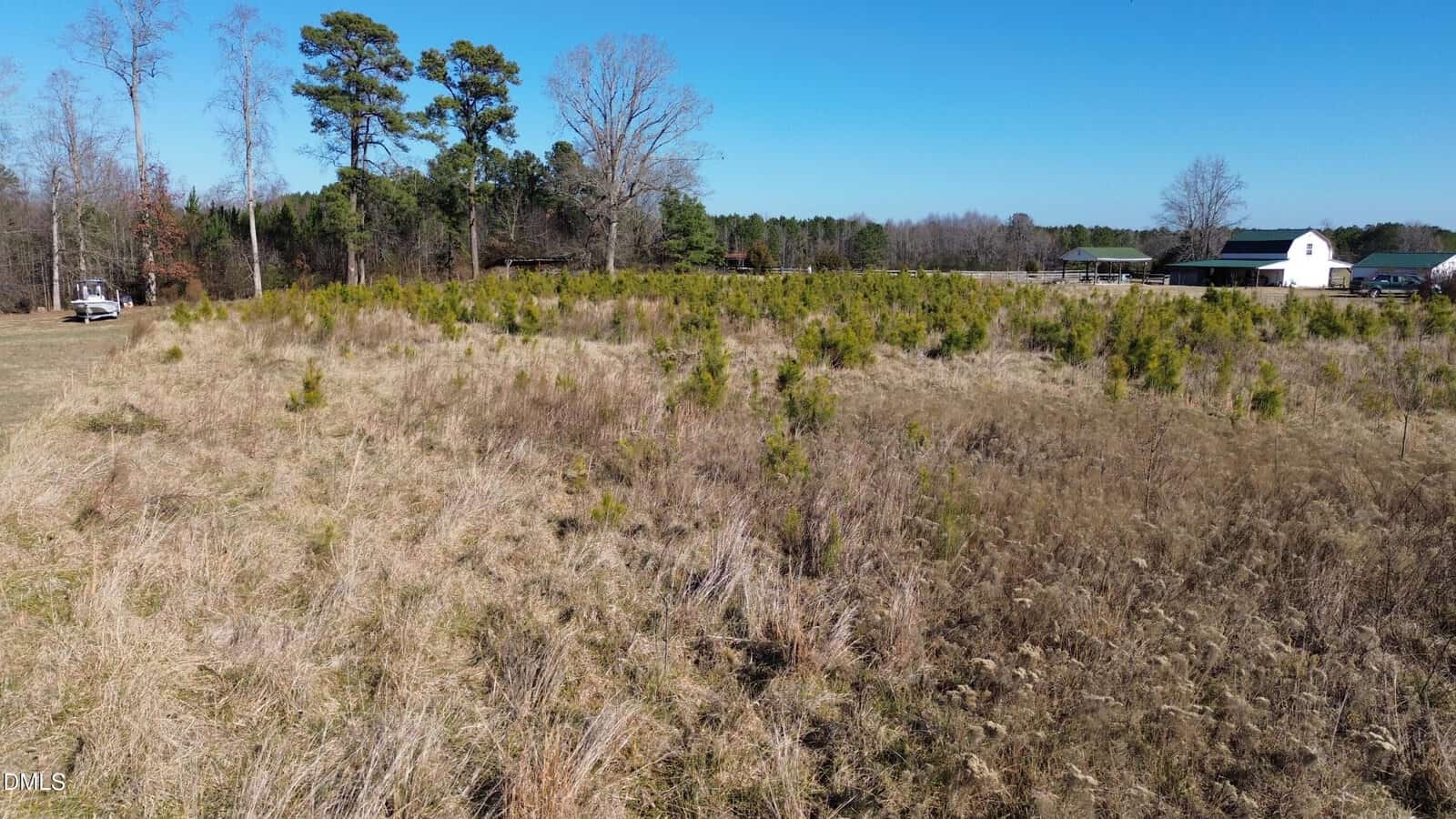 A grassy field with patches of small, young trees is shown. In the background, there are leafless trees, a few pine trees, a parked vehicle, and several farm buildings including a white barn under a clear blue sky.