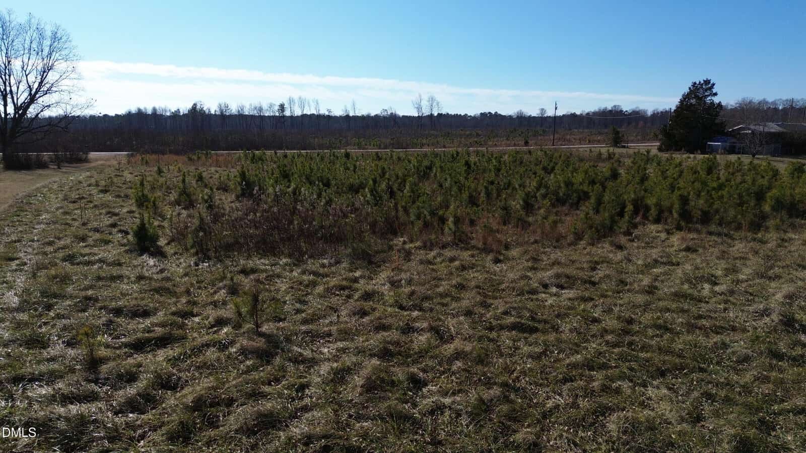 A field of grass and trees.