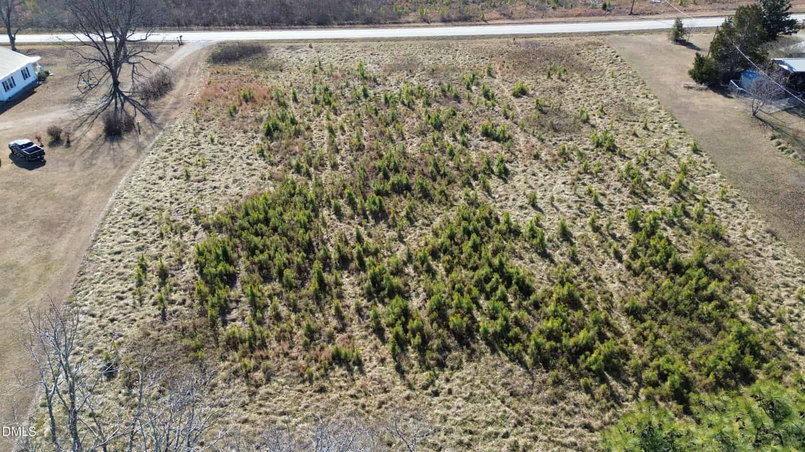 Aerial view of a grassy, undeveloped lot with scattered small pine trees, bordered by a road at the top and adjacent to a few houses and a parked car on the left side.