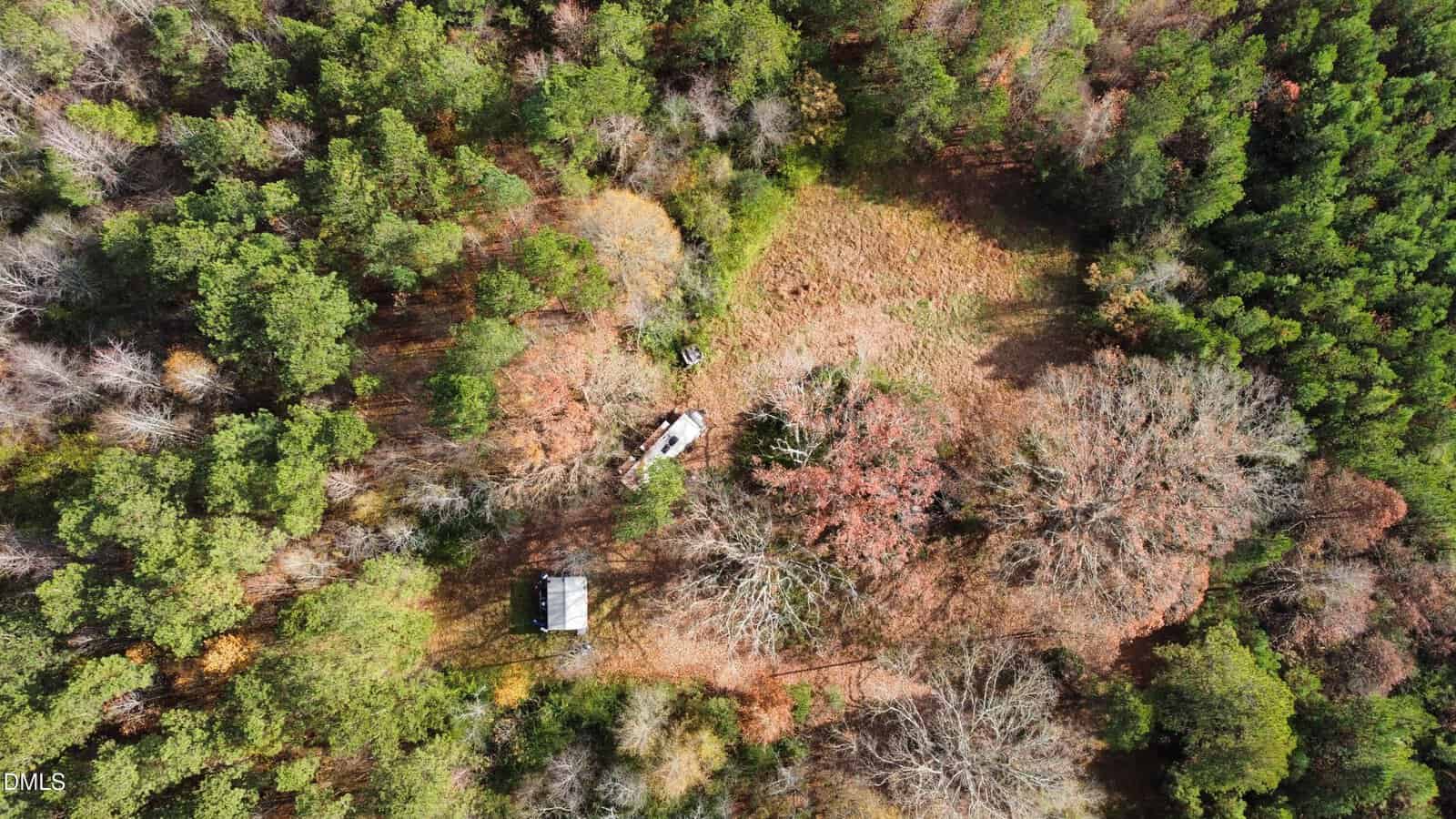 Aerial view of a small clearing in a dense forest with a cabin, a parked vehicle, and scattered trees. The open area is surrounded by green and autumn-colored foliage.