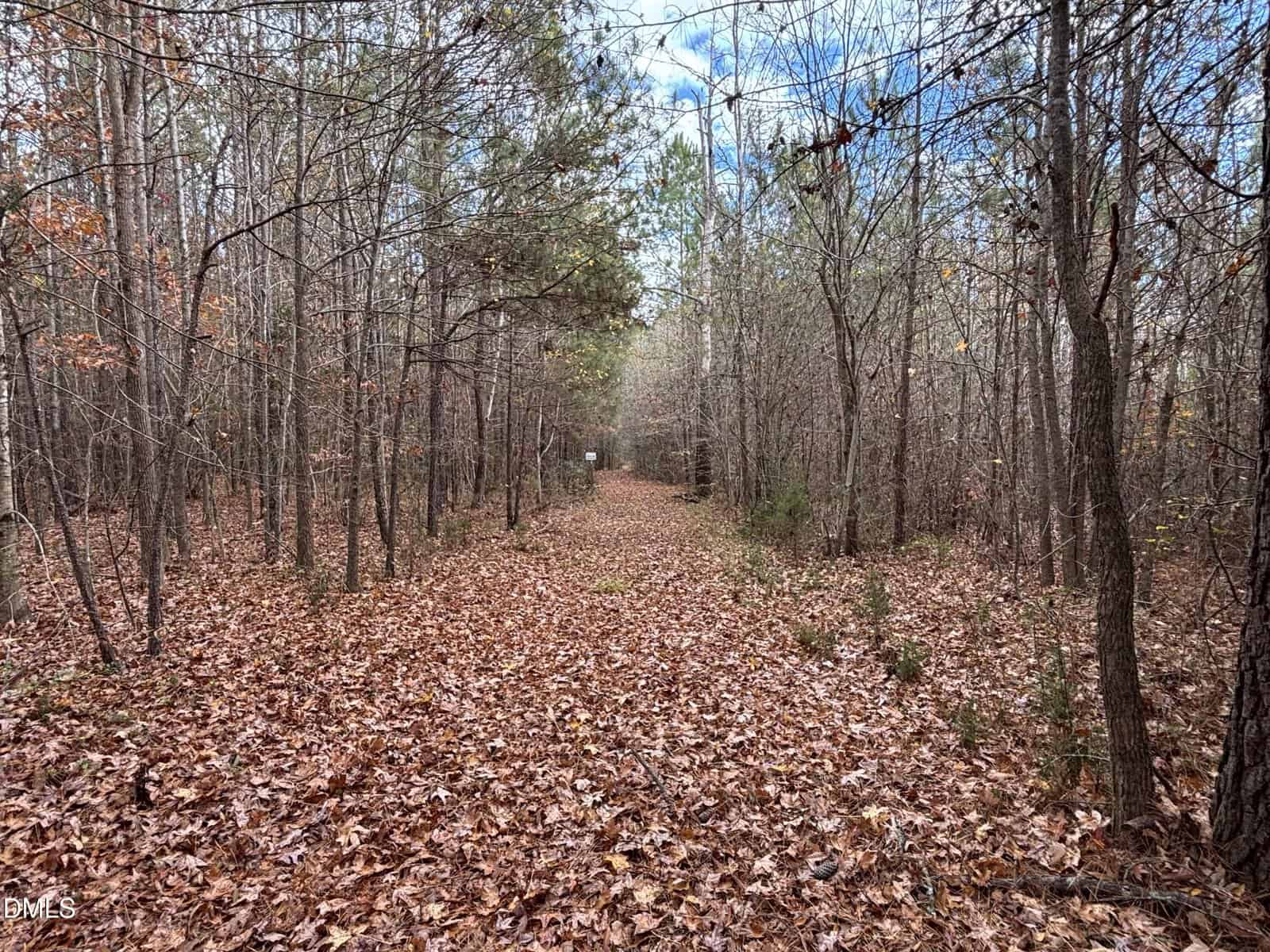 A wooded path covered with fallen brown leaves runs through a forest of thin trees. The trees are mostly bare, suggesting late autumn. The sky is partly cloudy and visible through the branches.