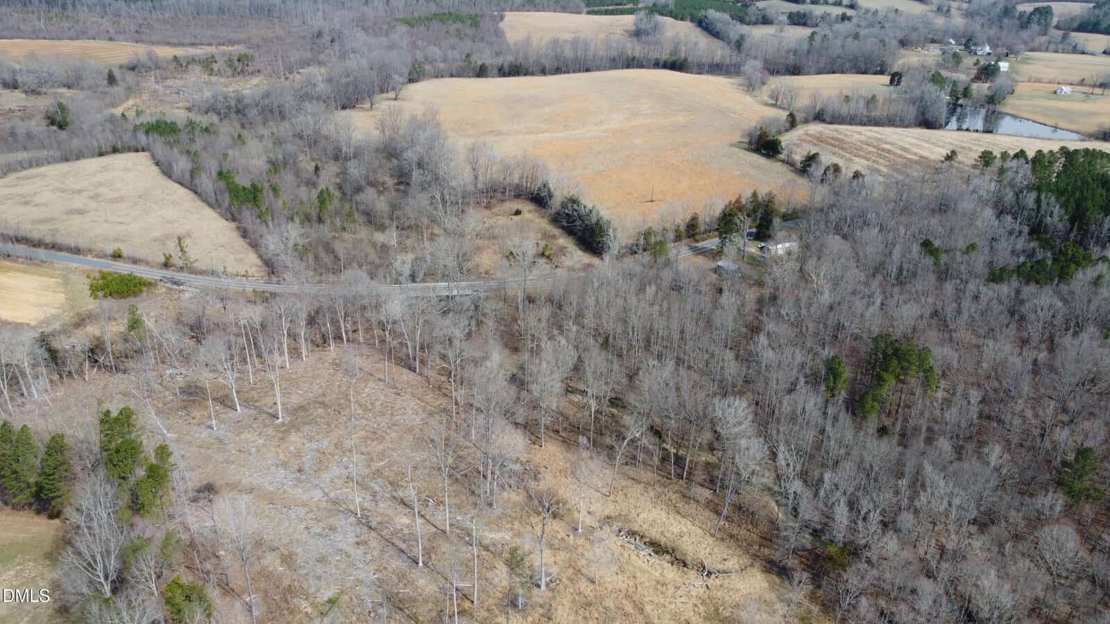 Aerial view of a rural landscape with leafless trees, open fields, a winding road, and scattered patches of forest in early spring or late autumn. Some houses and farmland are visible in the distance.