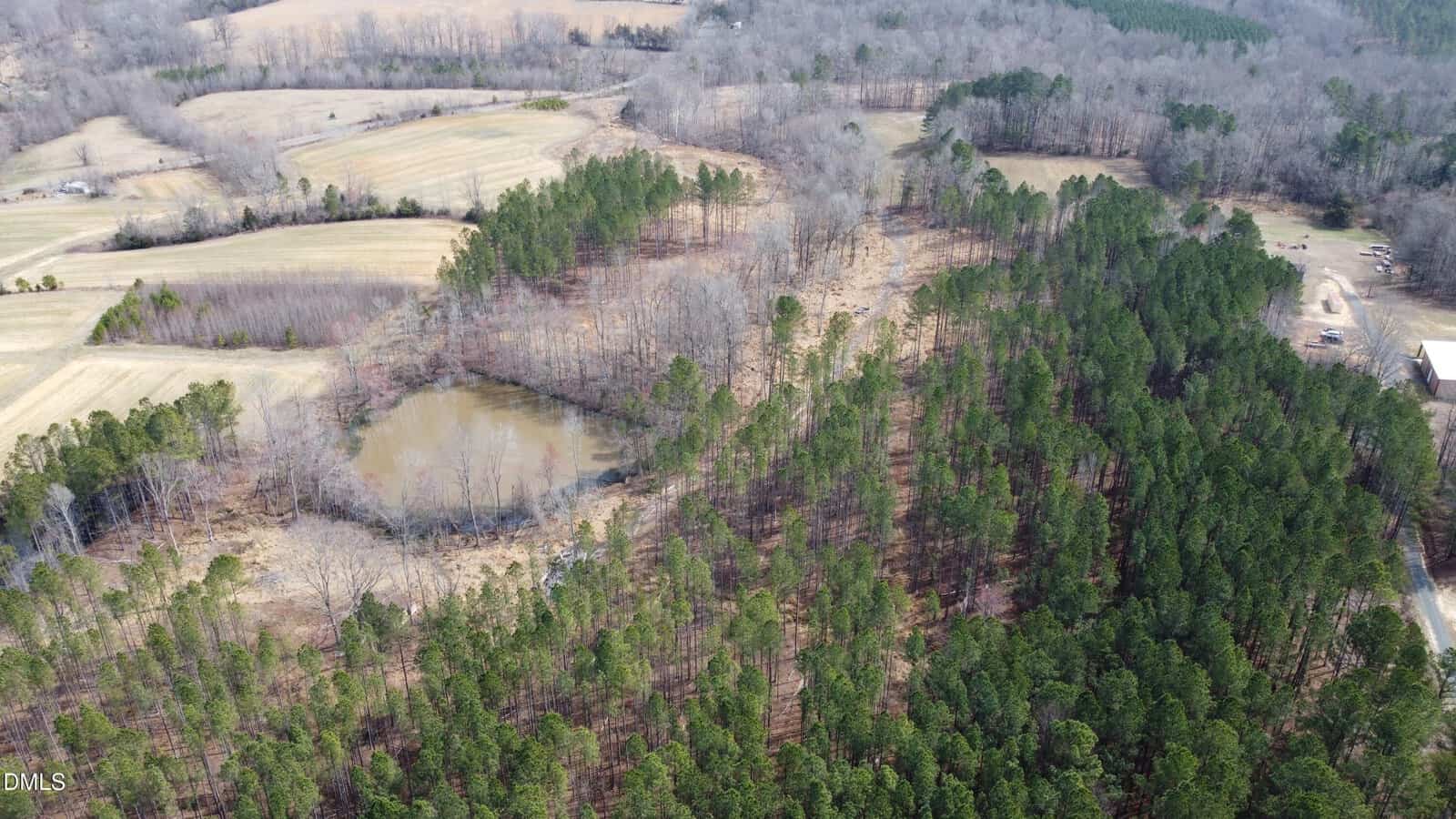 Aerial view of a rural landscape featuring a small pond surrounded by leafless trees, clusters of dense evergreen trees, open fields, and a few scattered buildings under a mostly clear sky.