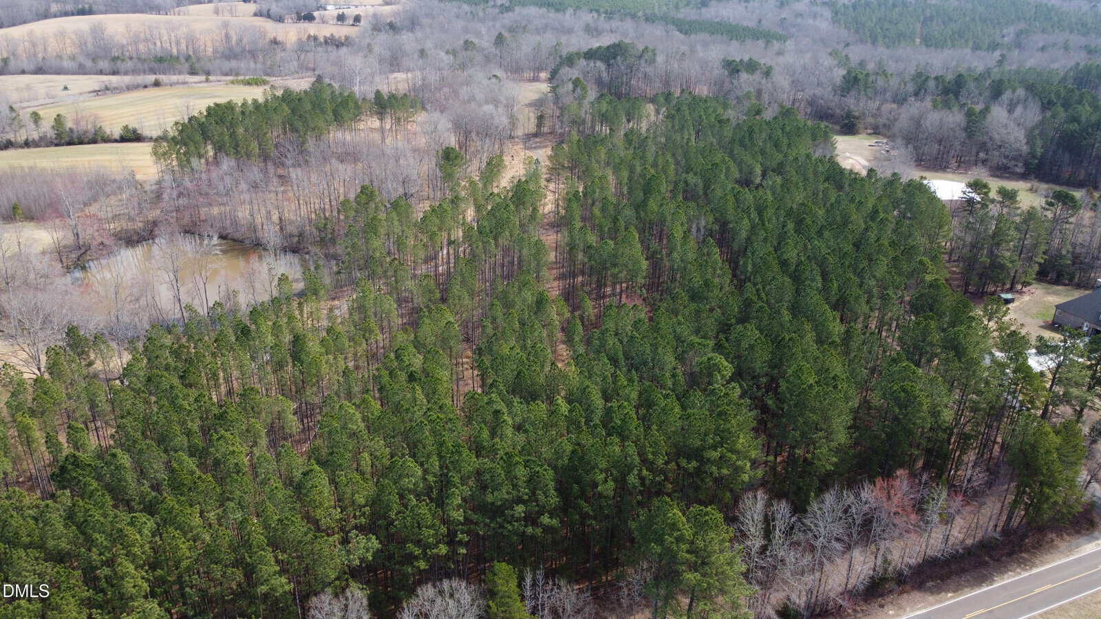 Aerial view of a dense forest with evergreen trees, a nearby pond, open fields, and a road running along the forest edge. Some buildings are visible among the trees.