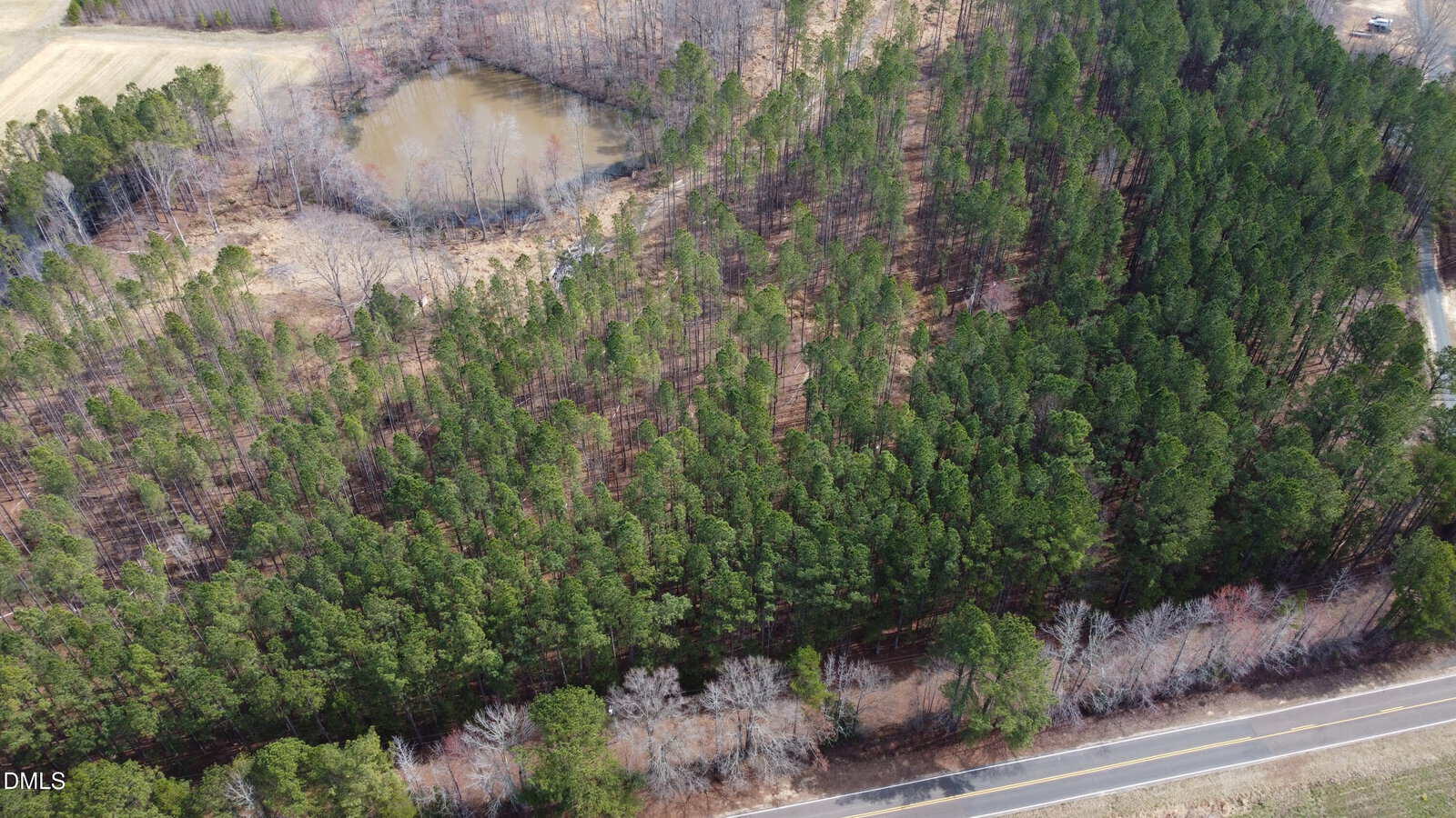 Aerial view of a dense forest with evergreen trees, a winding road at the bottom right, and a small pond surrounded by bare trees in the upper left corner.