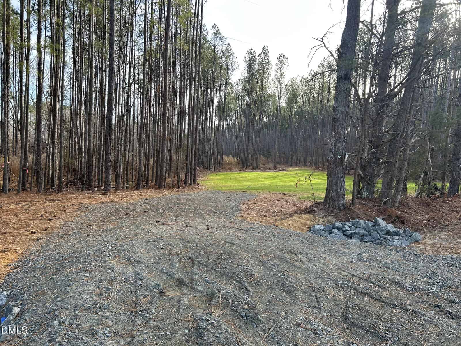A gravel path winds through a forest of tall, thin trees at 6190 Bob Daniel Road, Oxford, leading to a sunlit clearing with green grass under a bright sky.