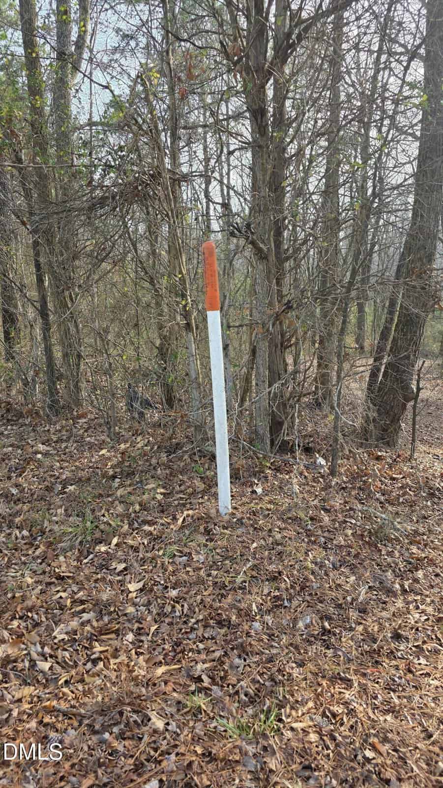 A white post with an orange top stands upright on a leafy, brown forest floor, surrounded by bare trees and dense underbrush. Sunlight filters through the branches.