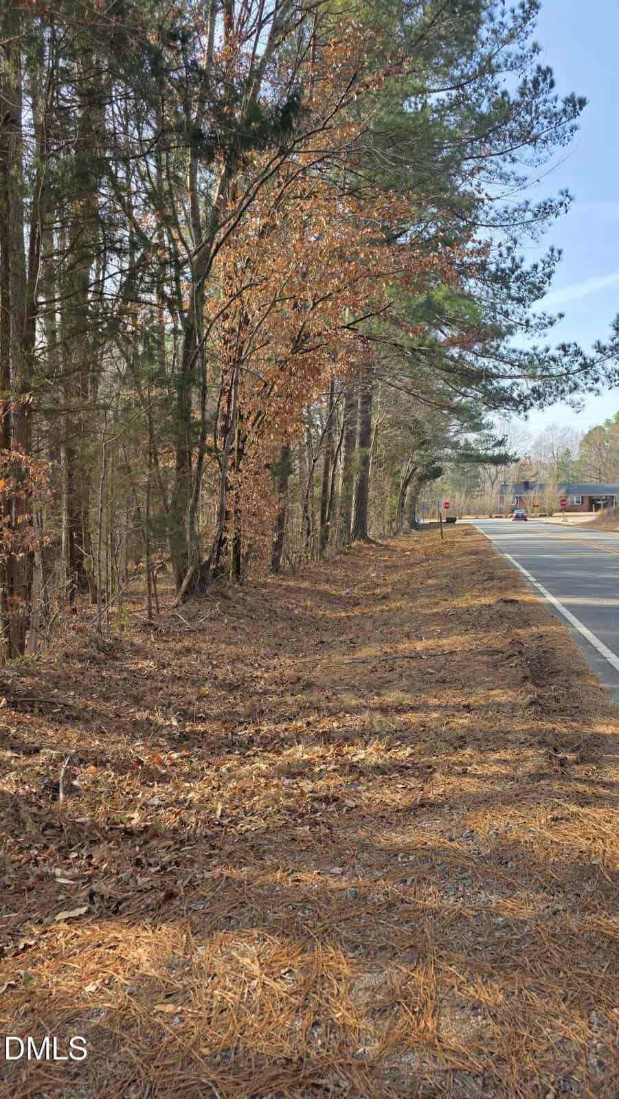 A road with trees on the side.