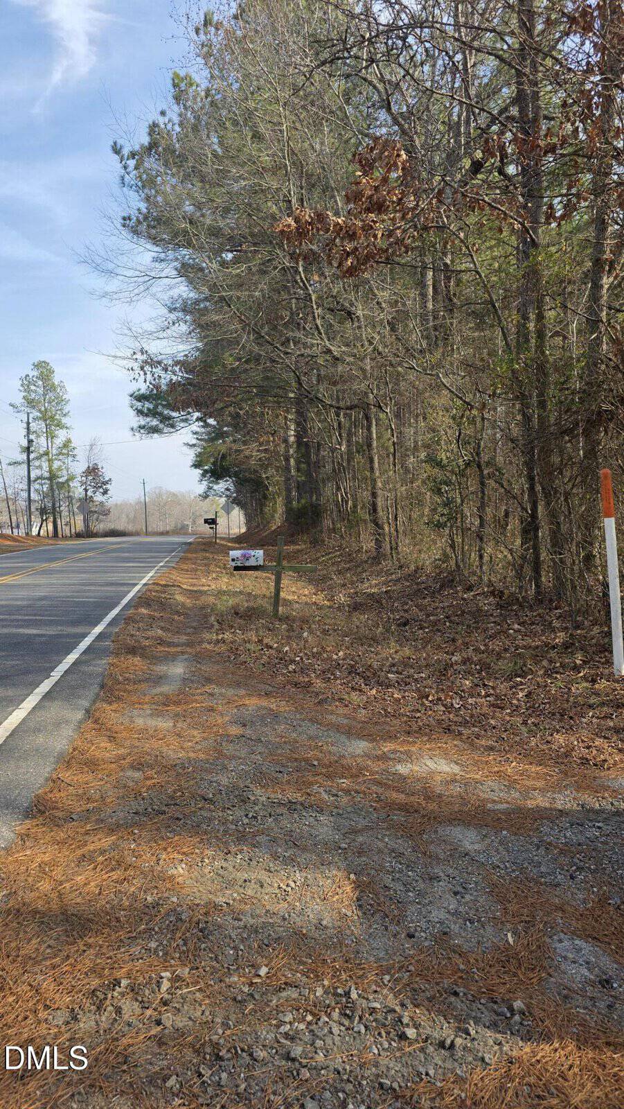 A rural roadside with pine needles covering the ground, bordered by a forest of tall trees. A mailbox and a sign are visible along the edge of the road under a clear sky.