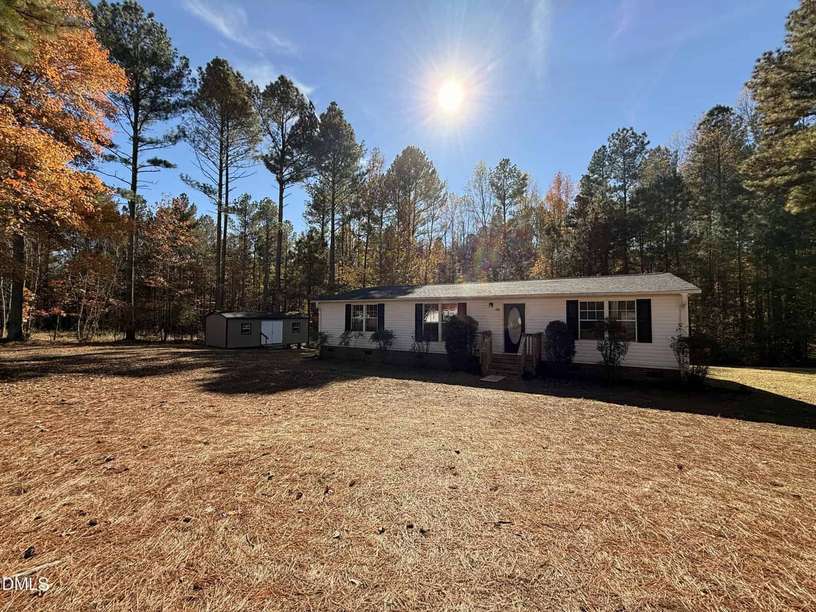 A single-story white house with dark shutters sits in a large yard covered in pine needles, surrounded by tall trees under a bright, sunny sky. A small shed is visible to the left of the house.
