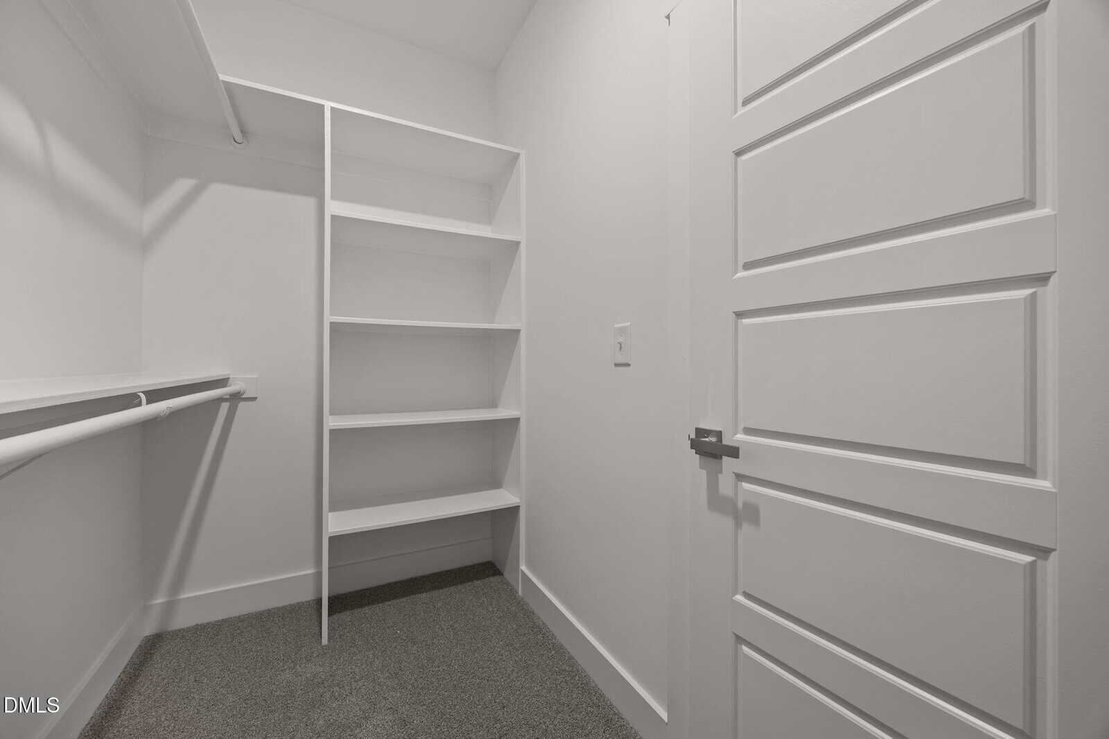 White walk-in closet with built-in shelves, hanging rods on the left, gray carpet flooring, and a closed white door with panel detailing. The space is empty and well-lit.