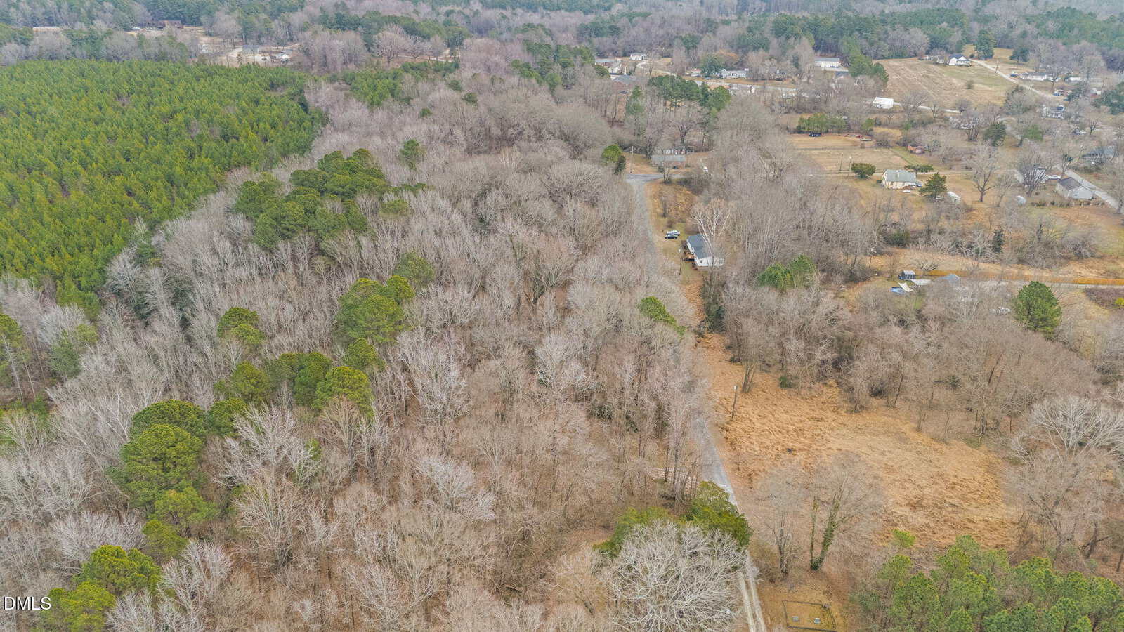 Aerial view of a rural landscape showing dense, leafless trees, patches of evergreens, a dirt road running through the forest, and scattered houses in a cleared area in the background.