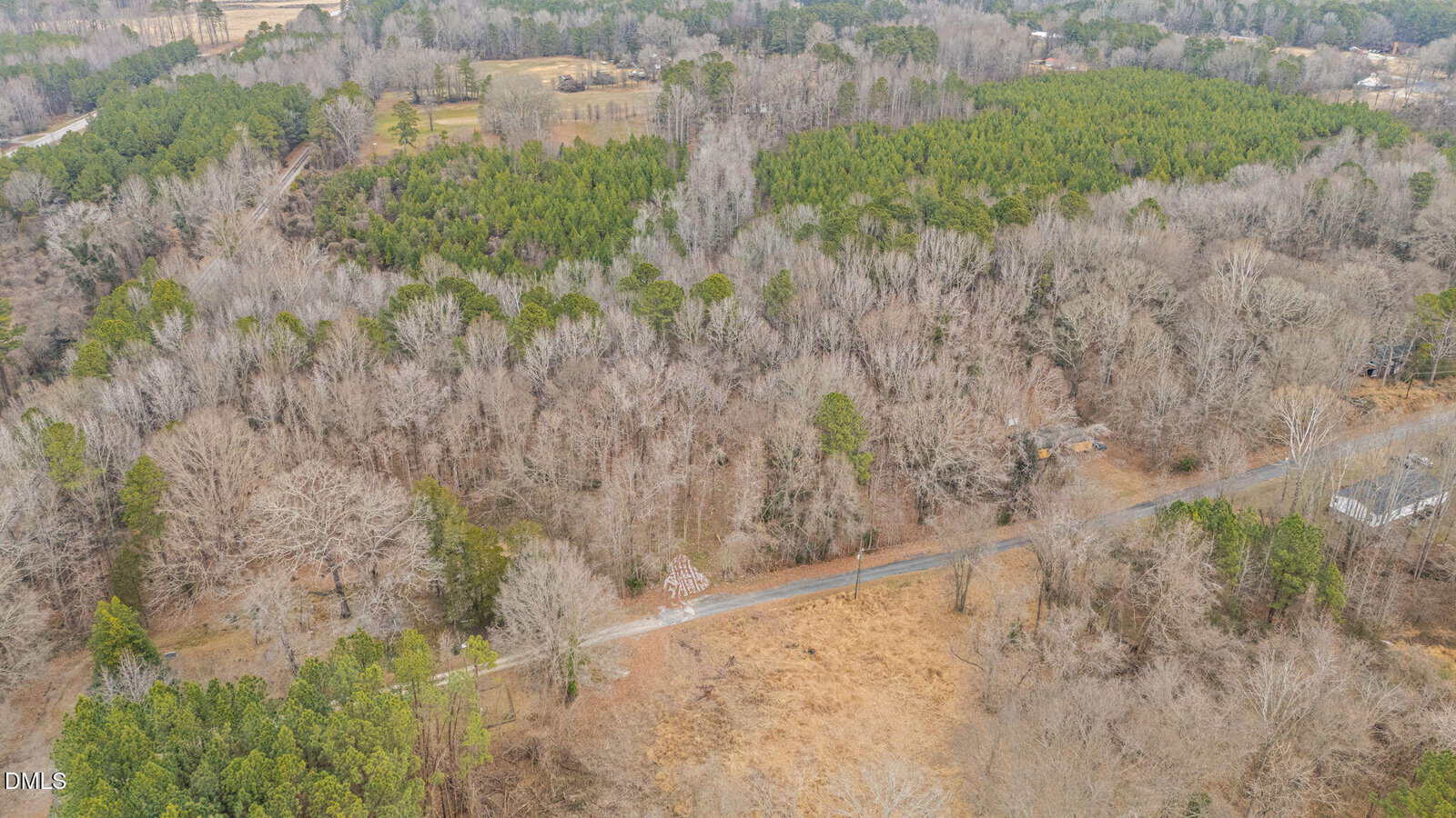 Aerial view of a rural area with a narrow road running through a landscape of leafless and evergreen trees, surrounded by forest and open fields. Sparse houses are partially visible among the trees.