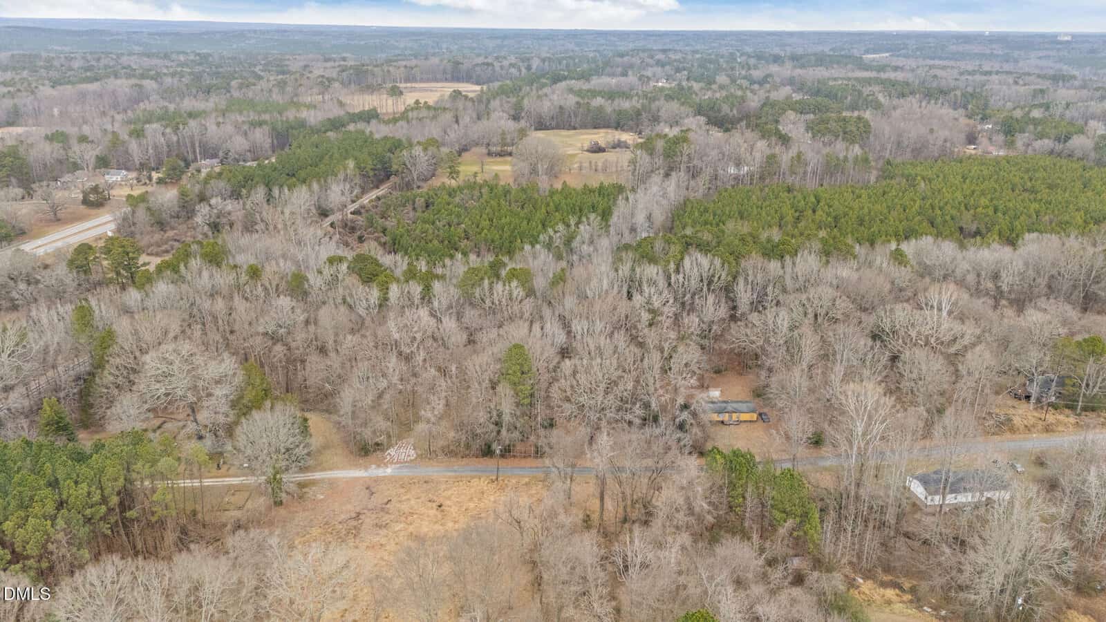 Aerial view of a rural landscape with a mix of trees and open fields, a road running through the foreground, some scattered houses, and forested areas extending into the distance under a cloudy sky.