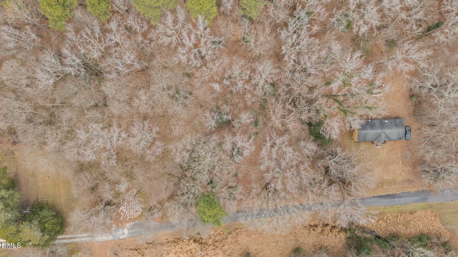 Aerial view of a leafless forest in winter with a single house and driveway on the right, a road running horizontally across the image, and sparse green trees scattered throughout the scene.