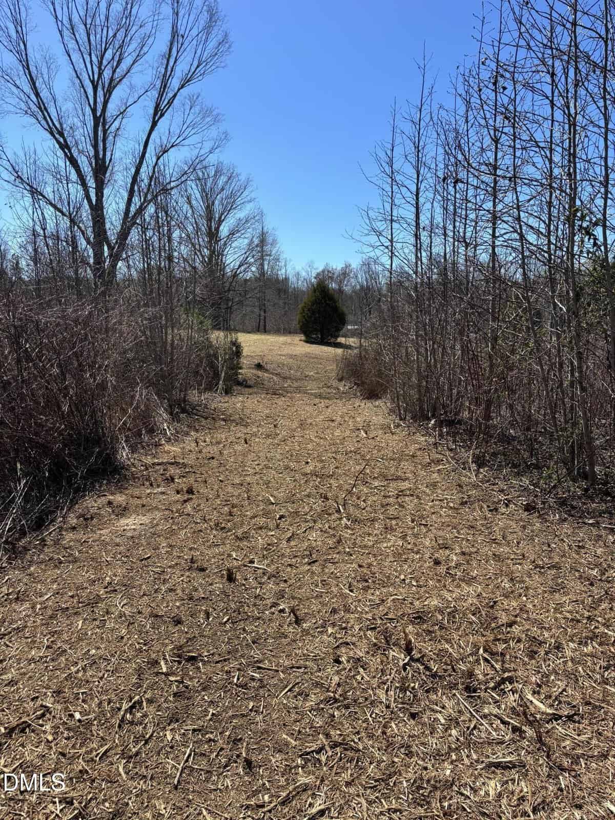 A dirt pathway lined with bare trees and bushes extends into a grassy field under a clear blue sky on a sunny day.