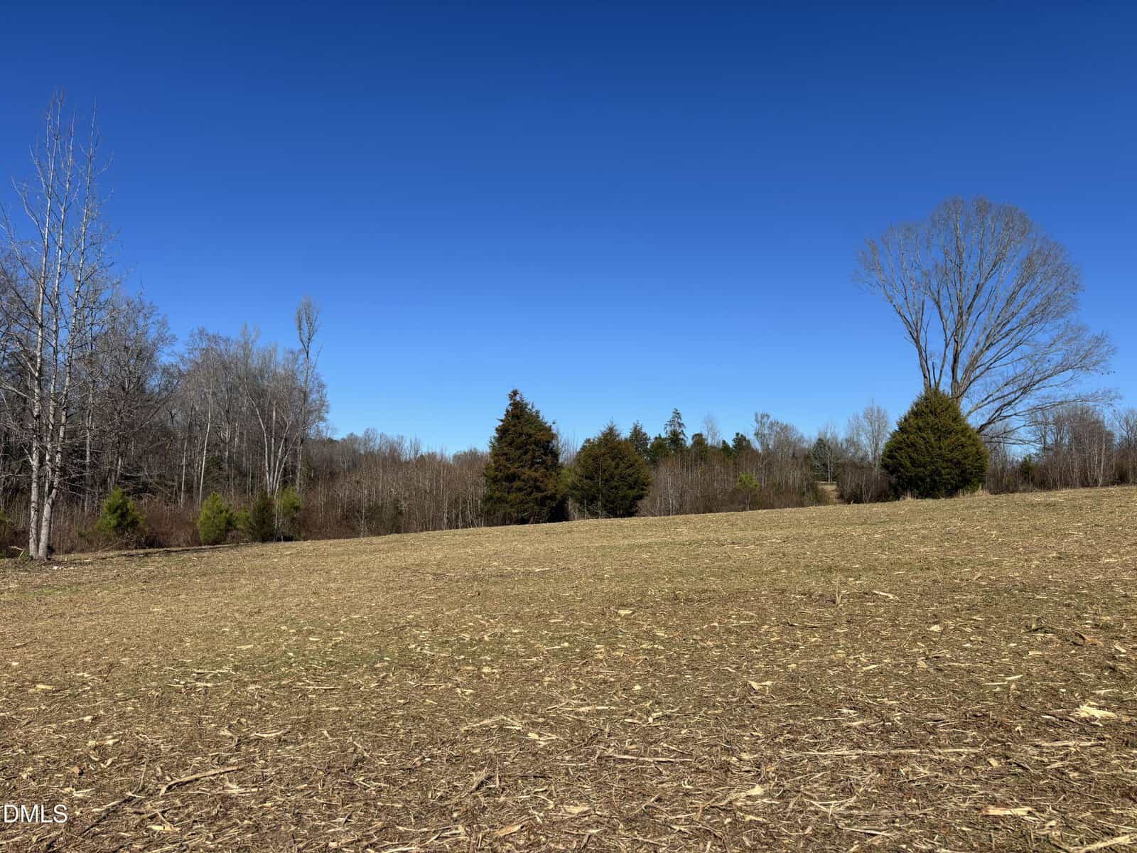 A wide, open field off 005 Keeton Road with sparse brown grass and scattered patches of bare earth, bordered by leafless trees and evergreens under a clear blue Bullock sky.