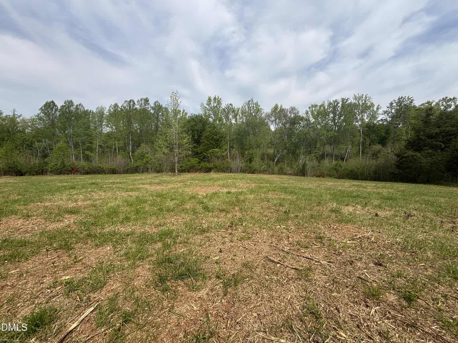 Open grassy field with patches of bare soil in the foreground, bordered by a line of tall, green trees under a partly cloudy sky.