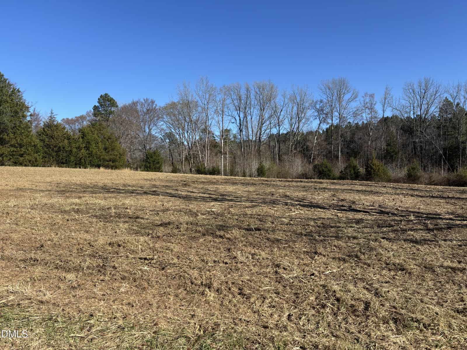 Open field with dry, brown grass under a clear blue sky near 006 Keeton Road. Leafless trees line the background, with some evergreens at the edge of the field in Bullock. No buildings or people are visible.