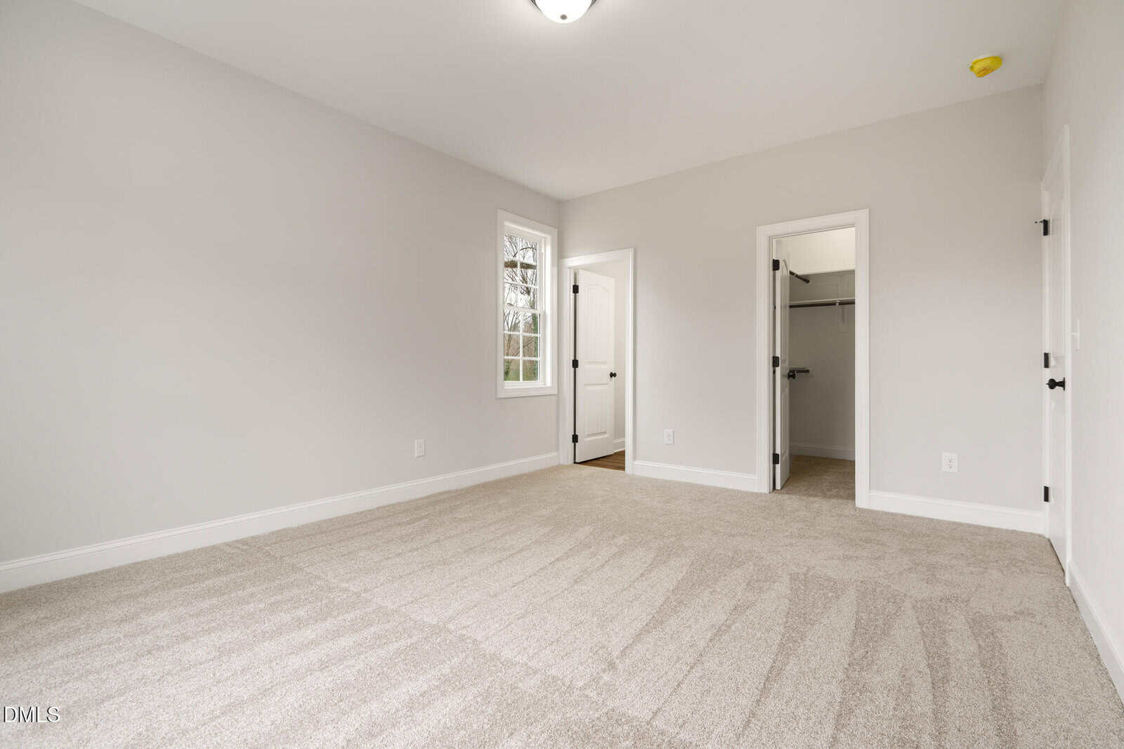 Empty bedroom with beige carpet, white walls, a window, and two doorways—one leading to a closet and the other to a hallway. Ceiling light fixture and natural light from the window.