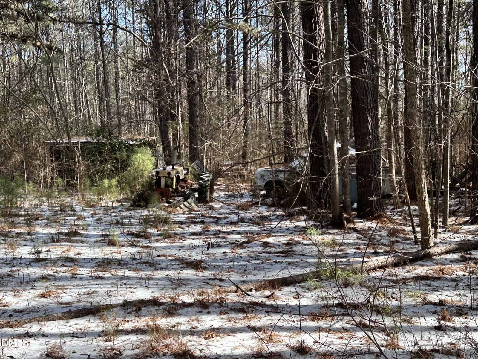 Snow-dusted forest clearing with scattered pine needles, tall trees, and two abandoned, partially hidden vehicles among overgrown brush and debris in the background.